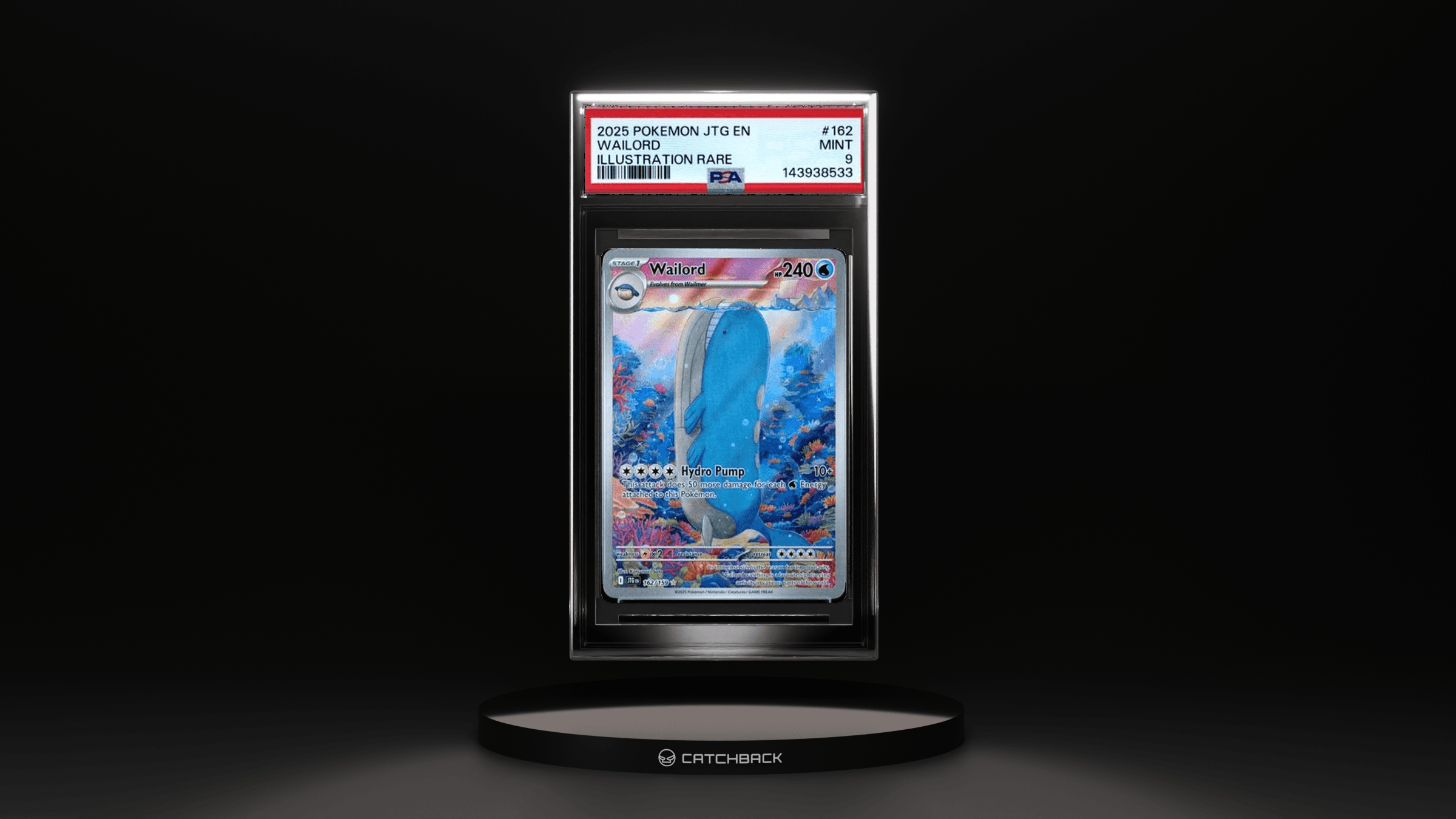 Wailord Illustration Rare
