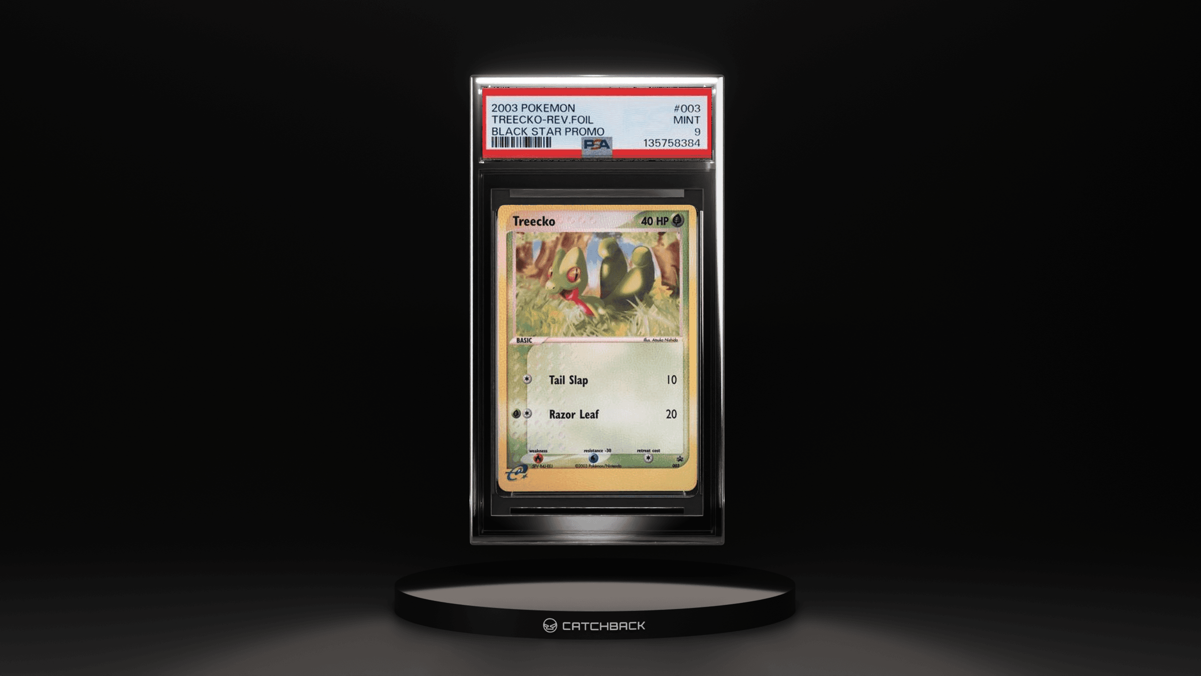 Treecko-rev.foil Black Star Promo