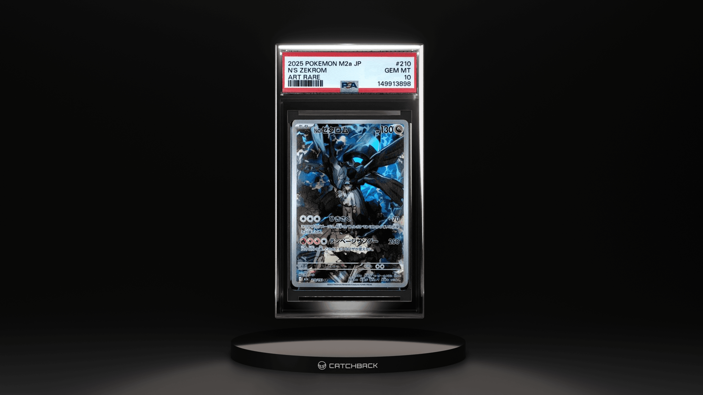 N's Zekrom Art Rare