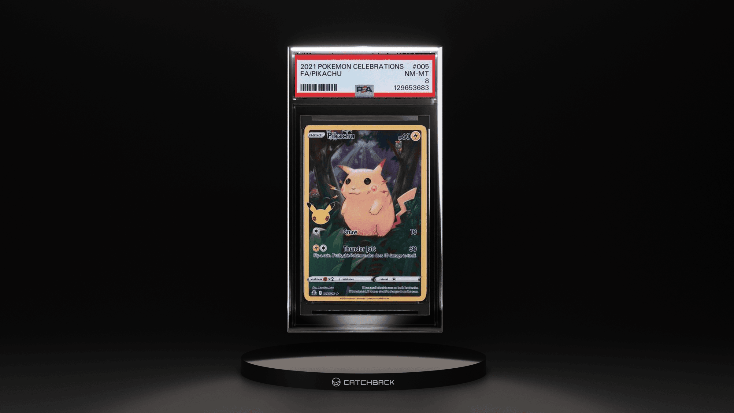 Fa/ Pikachu