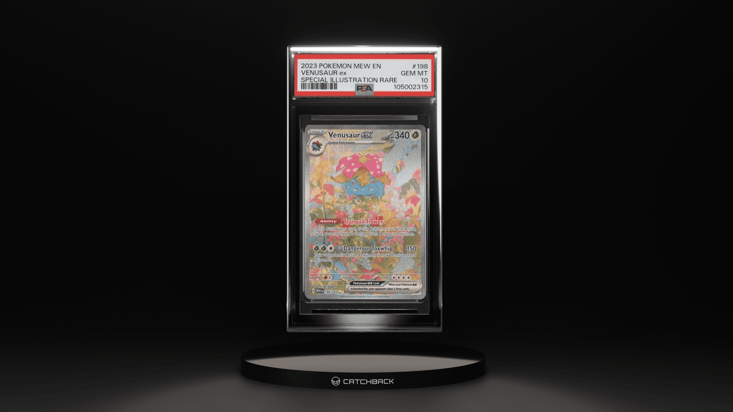Venusaur Ex Special Illustration Rare