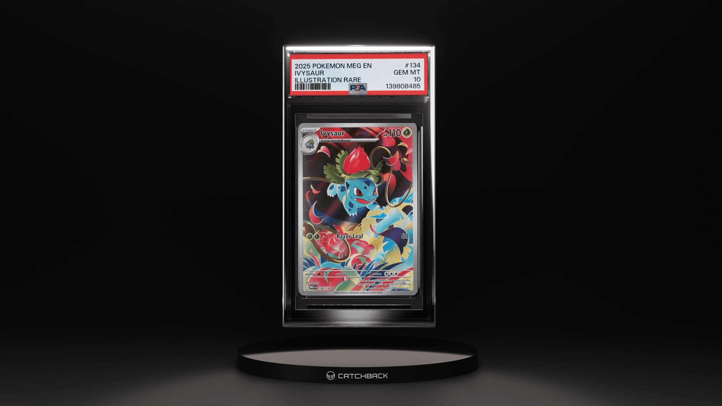 Ivysaur Illustration Rare