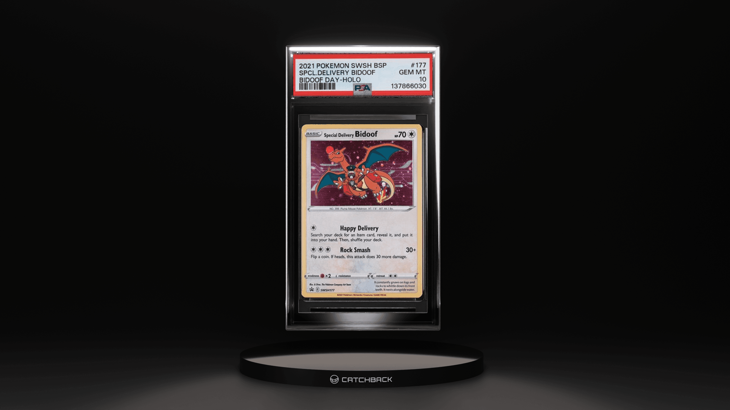 Spcl.delivery Bidoof Bidoof Day-holo