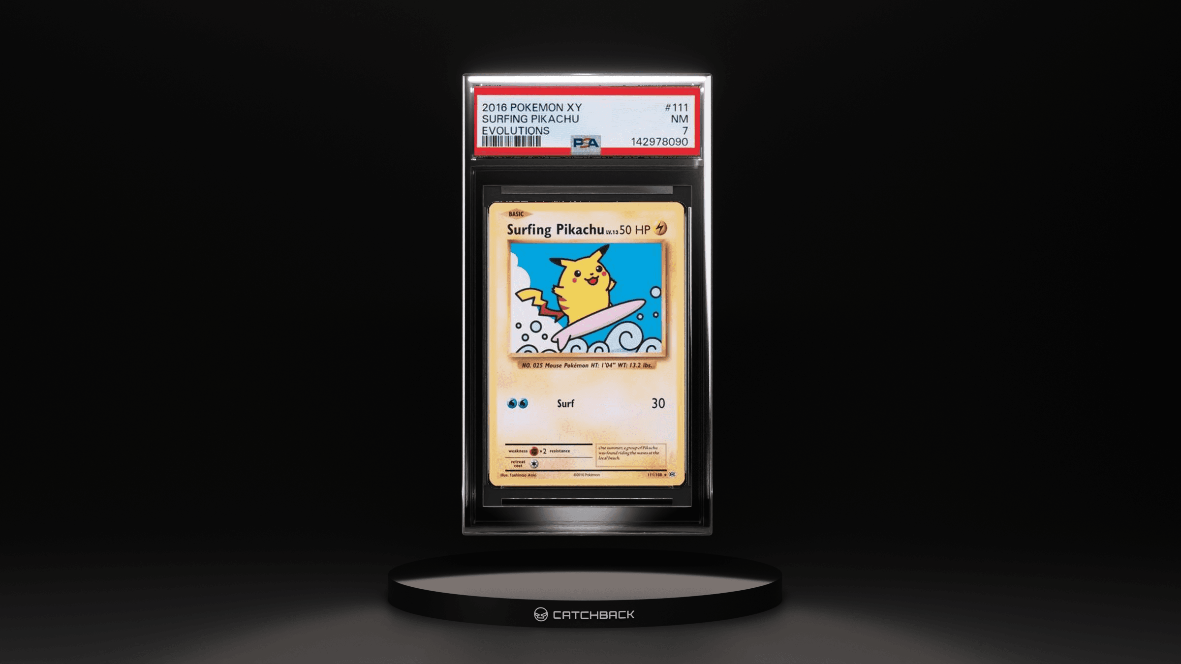 Surfing Pikachu Evolutions
