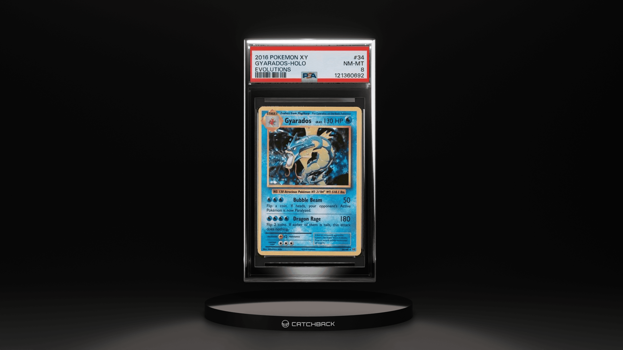 Gyarados-holo Evolutions