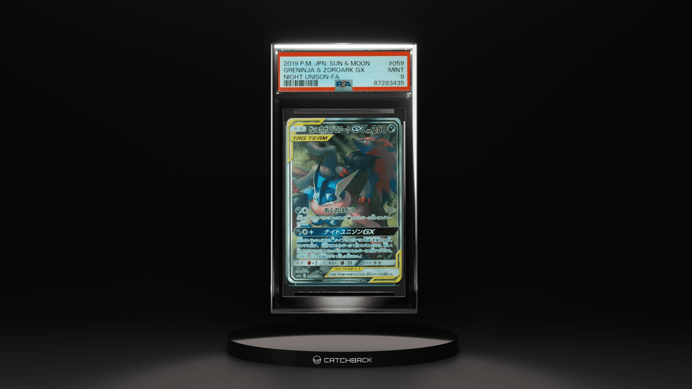 Greninja & Zoroark Gx Night Unison-fa