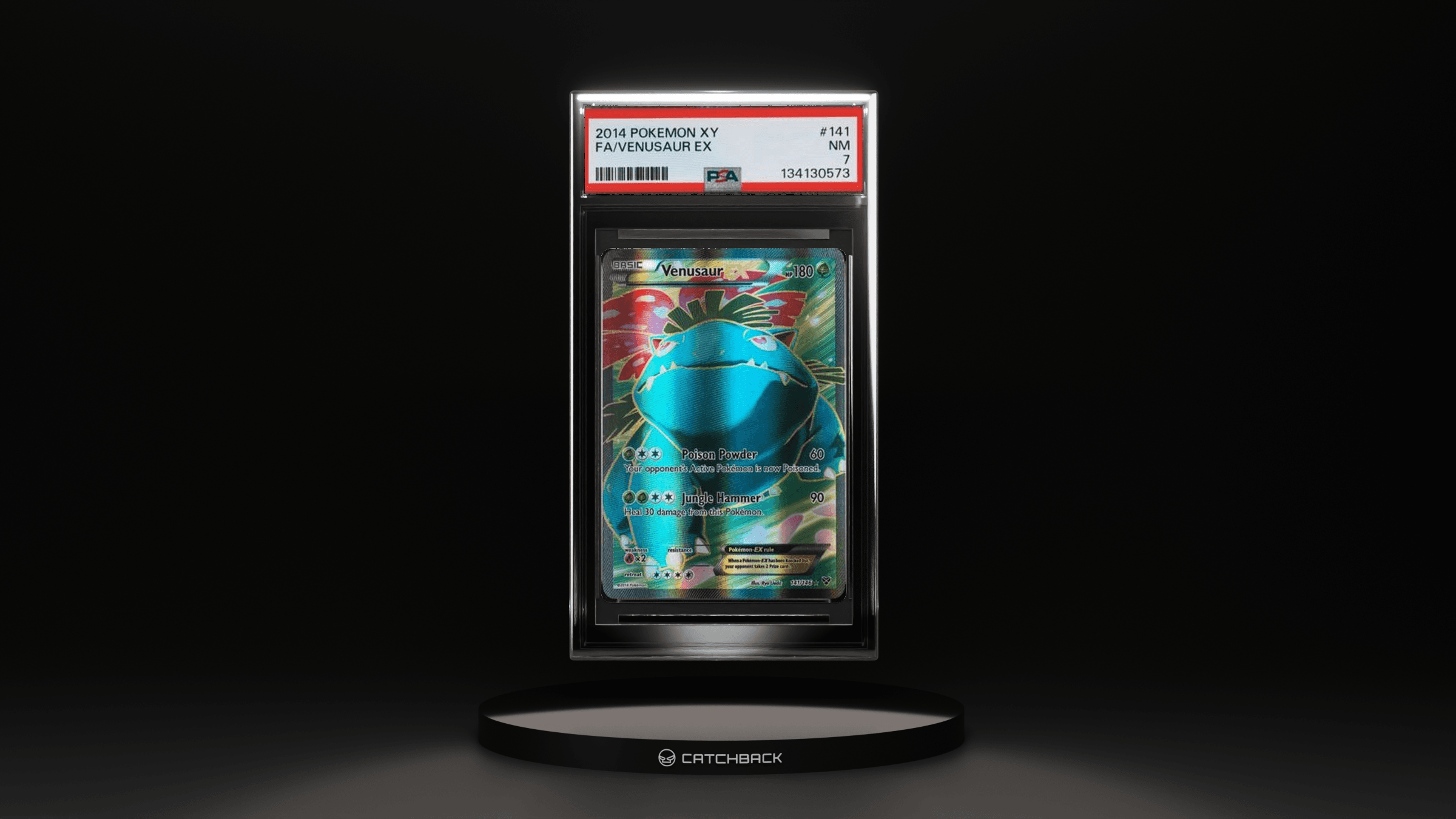 Fa/ Venusaur Ex