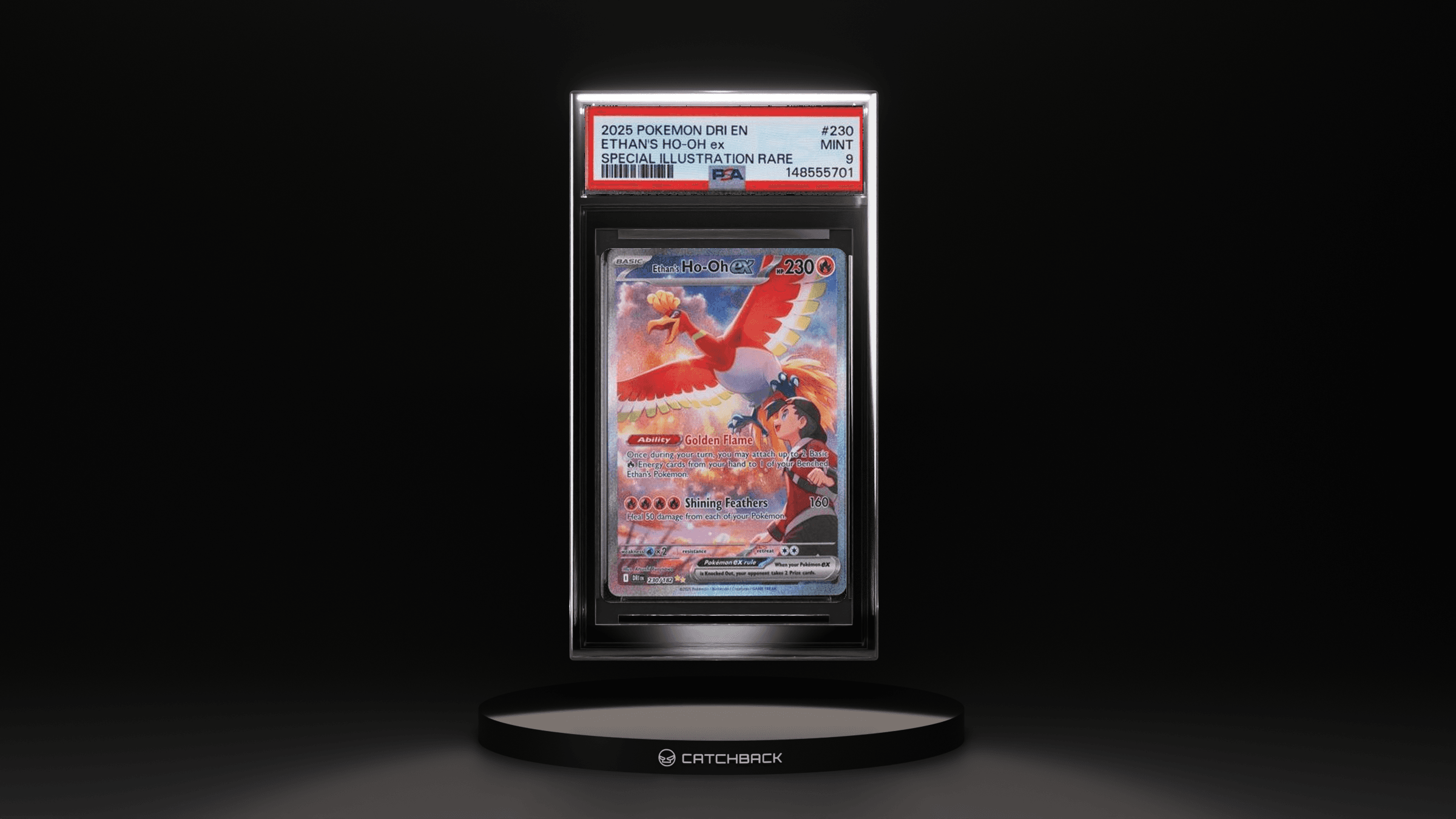 Ethan's Ho-oh Ex Special Illustration Rare