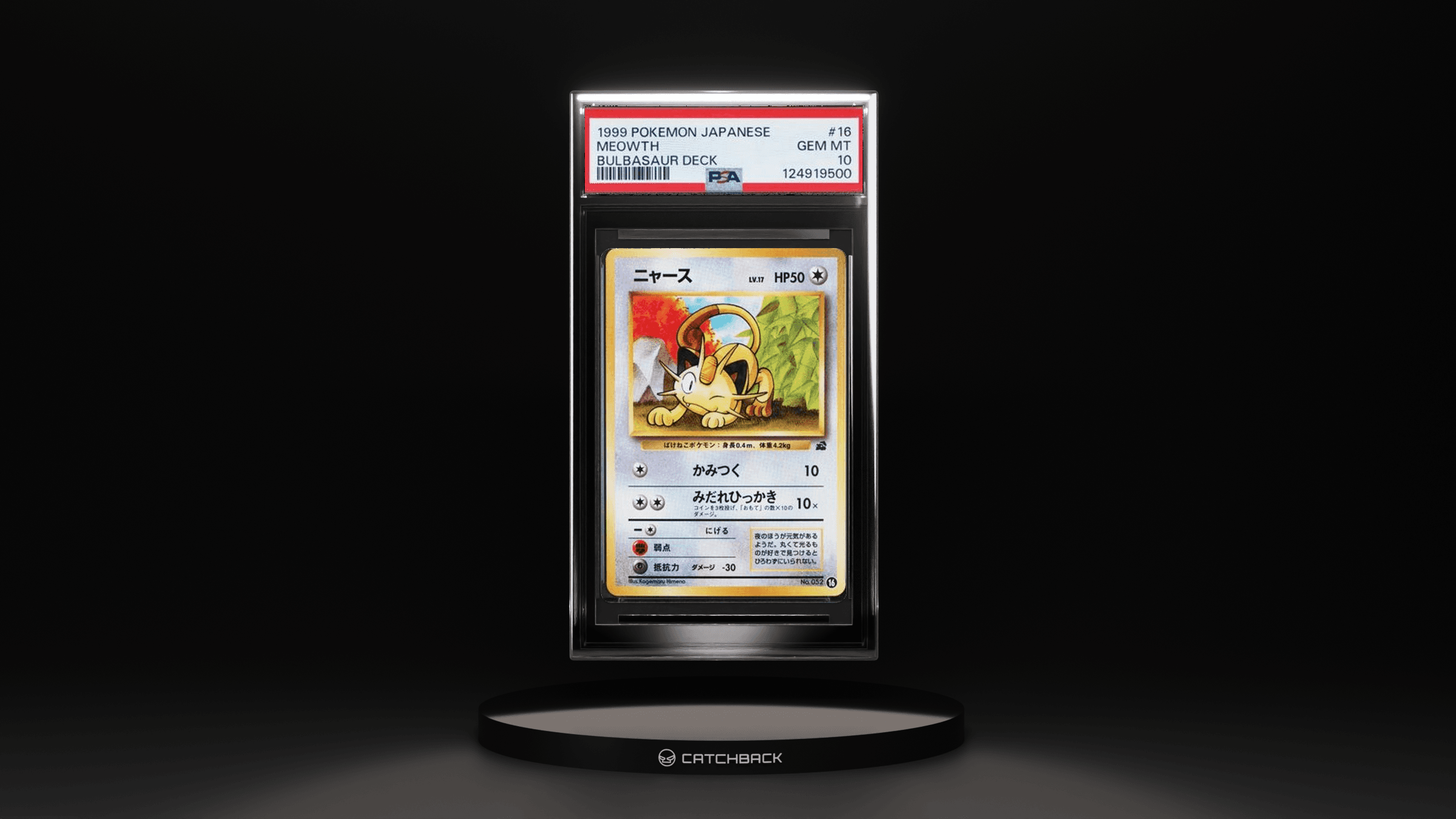 Meowth Bulbasaur Deck