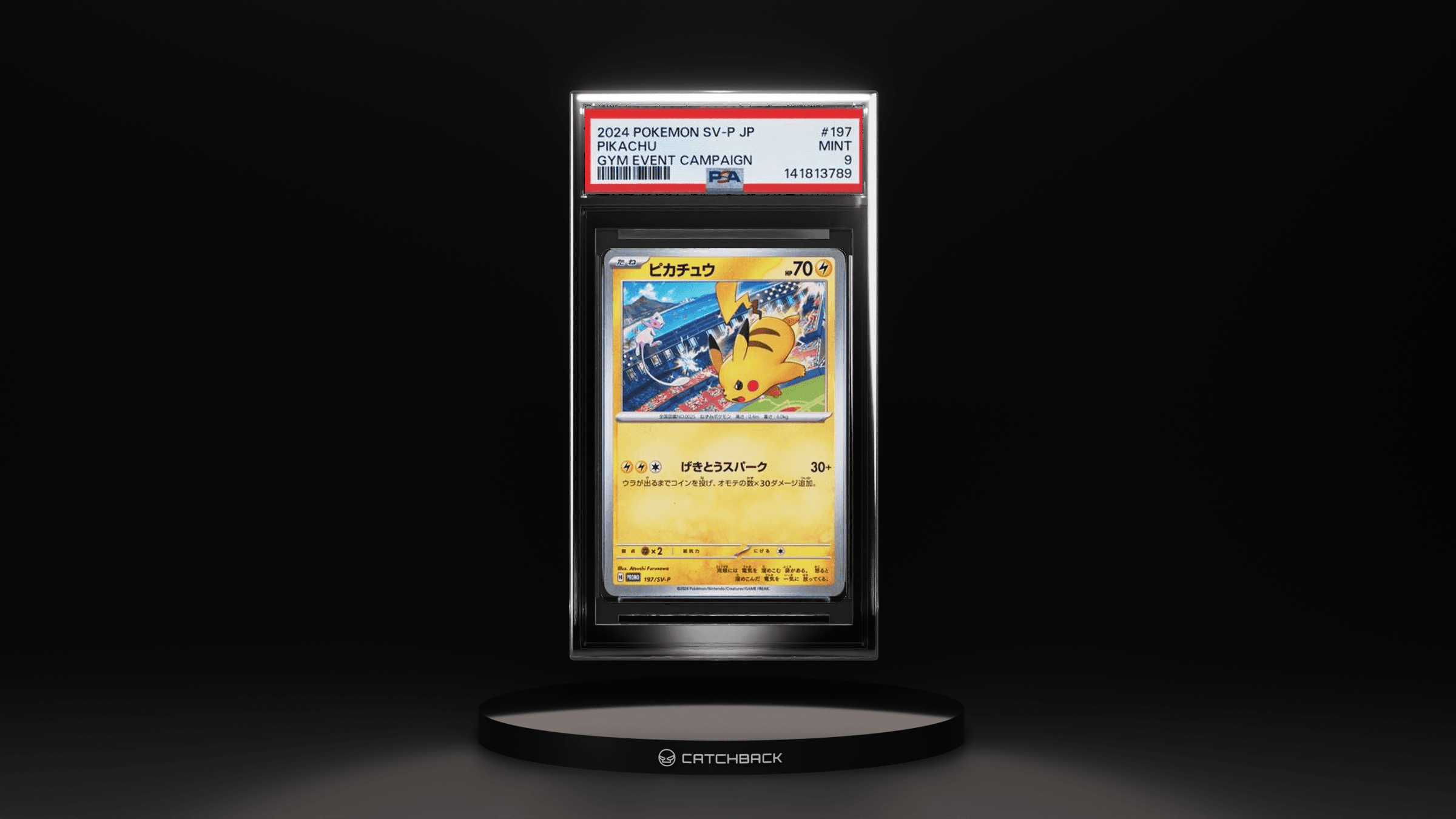 Pikachu Gym Event Campaign