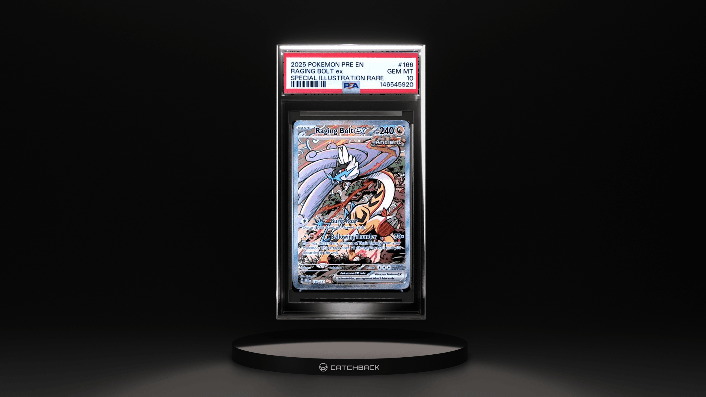 Raging Bolt Ex Special Illustration Rare
