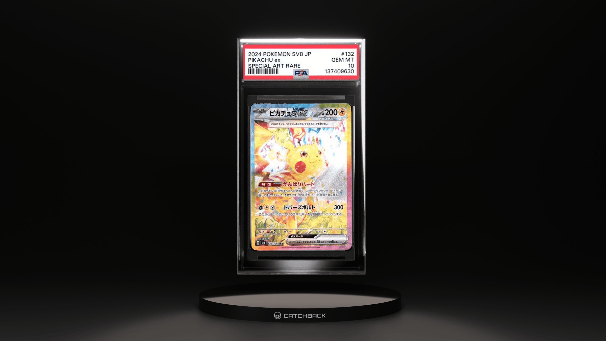 Pikachu Ex Special Art Rare