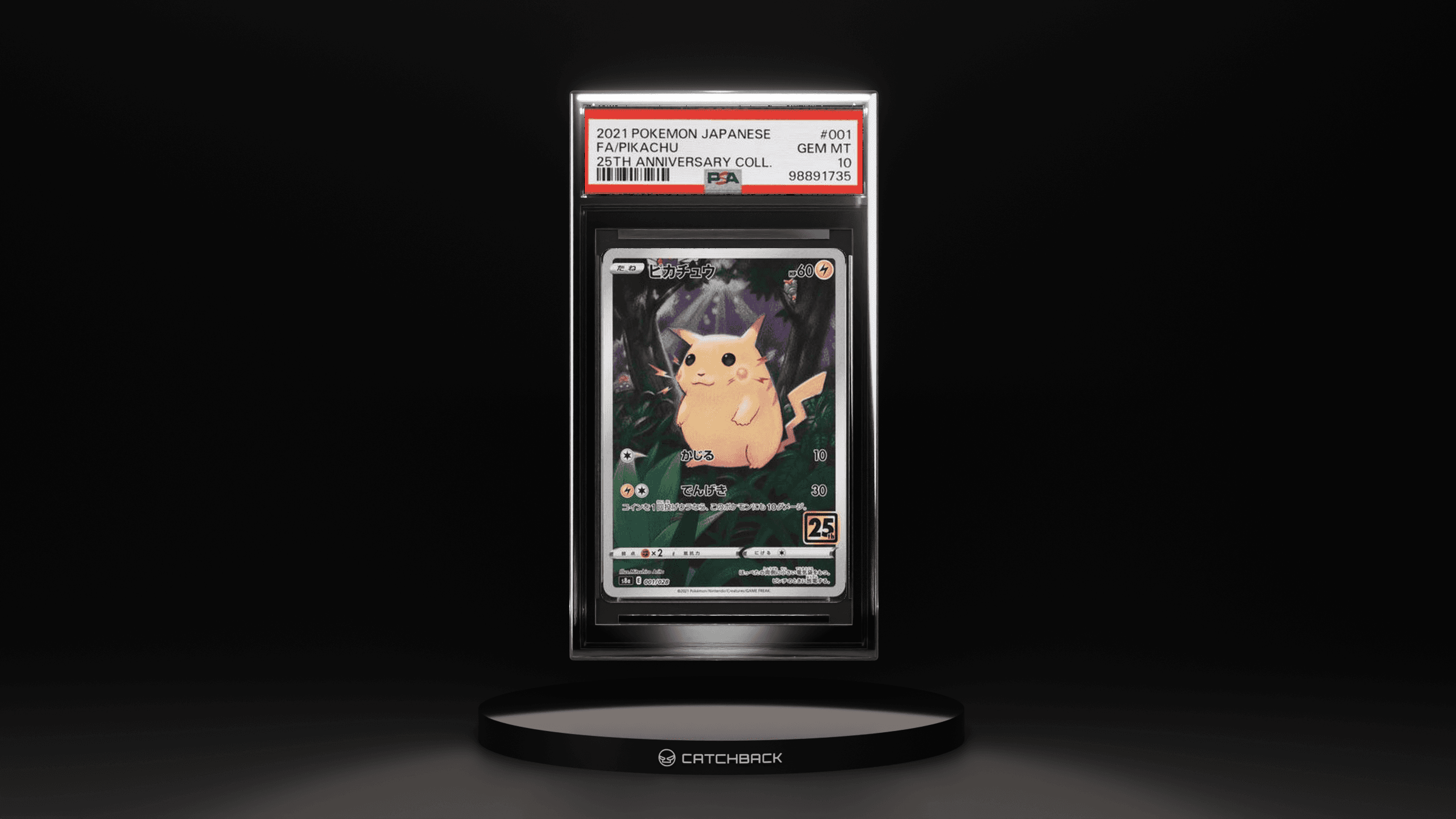 Fa/ Pikachu 25th Anniversary Coll.