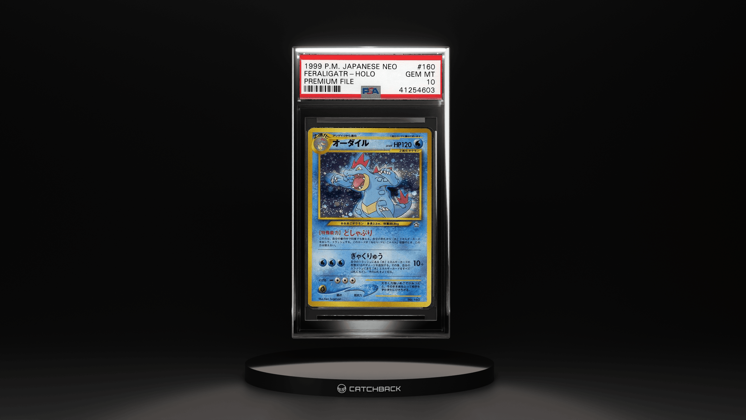 Feraligatr-holo Premium File