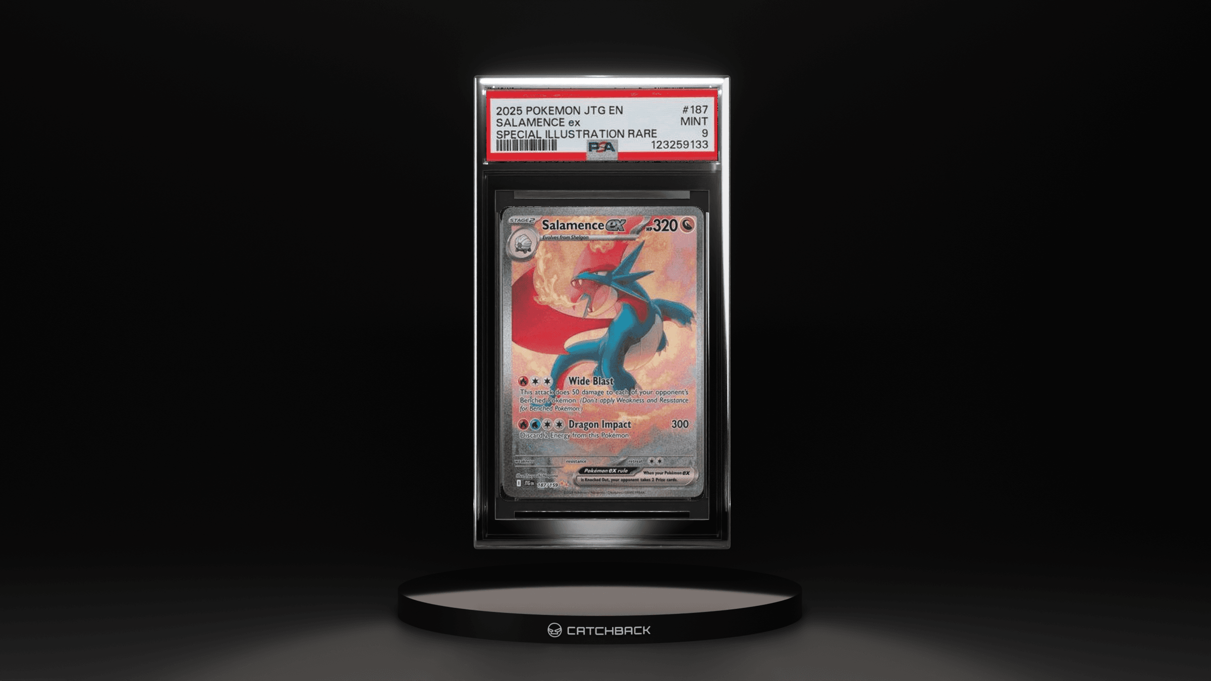 Salamence Ex Special Illustration Rare