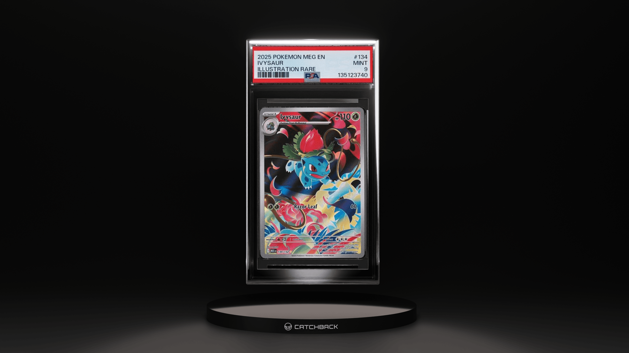 Ivysaur Illustration Rare