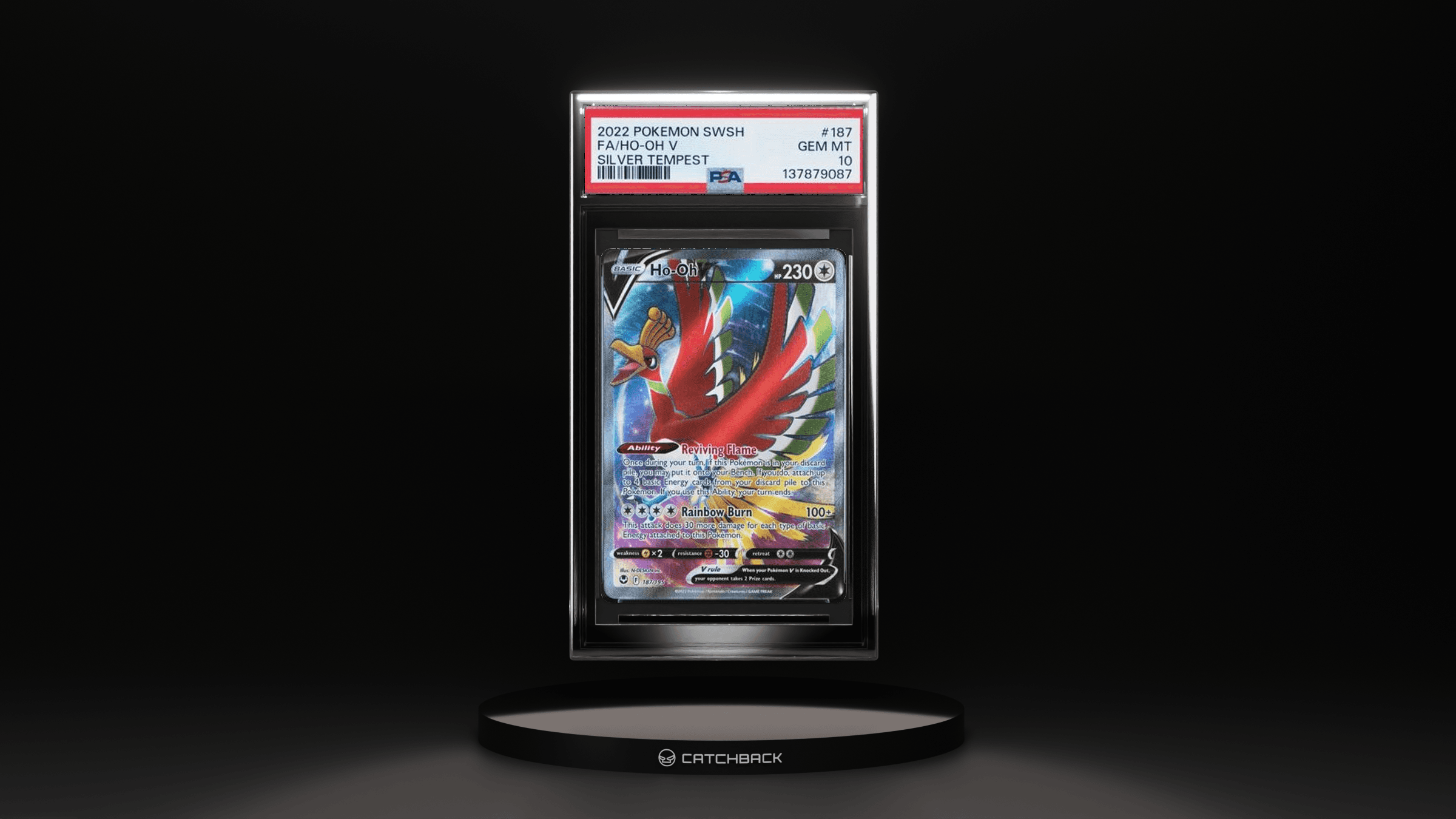 Ho-oh V Silver Tempest