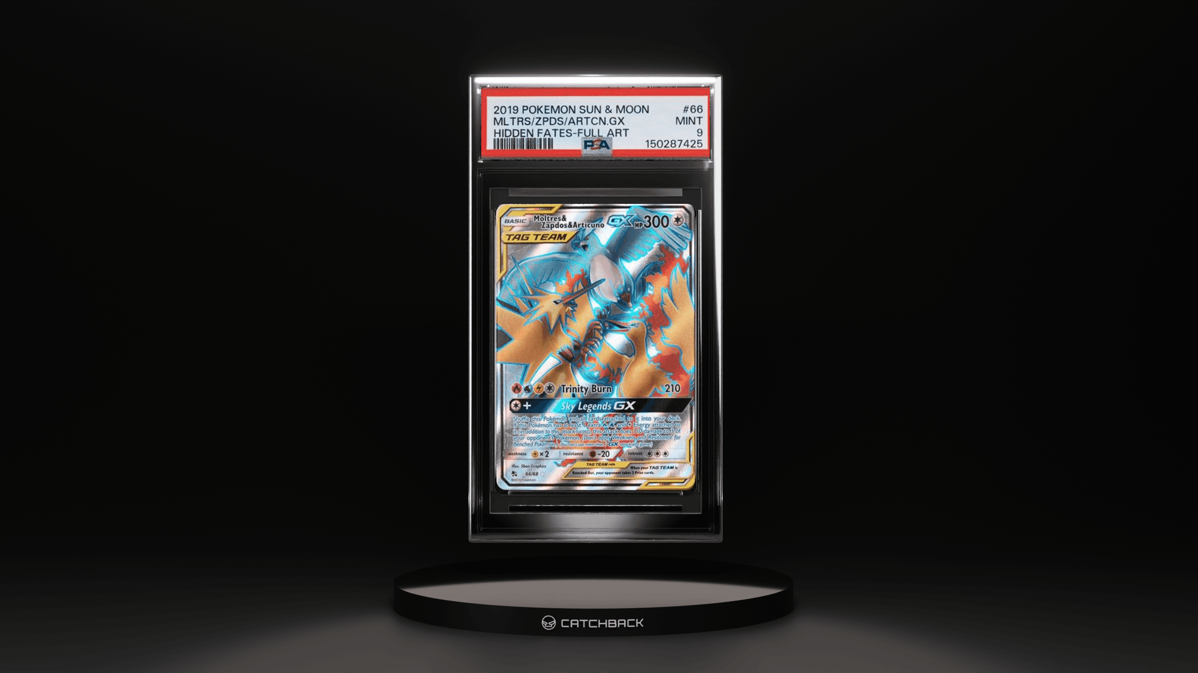 Mltrs/Zpds/Artcn.Gx