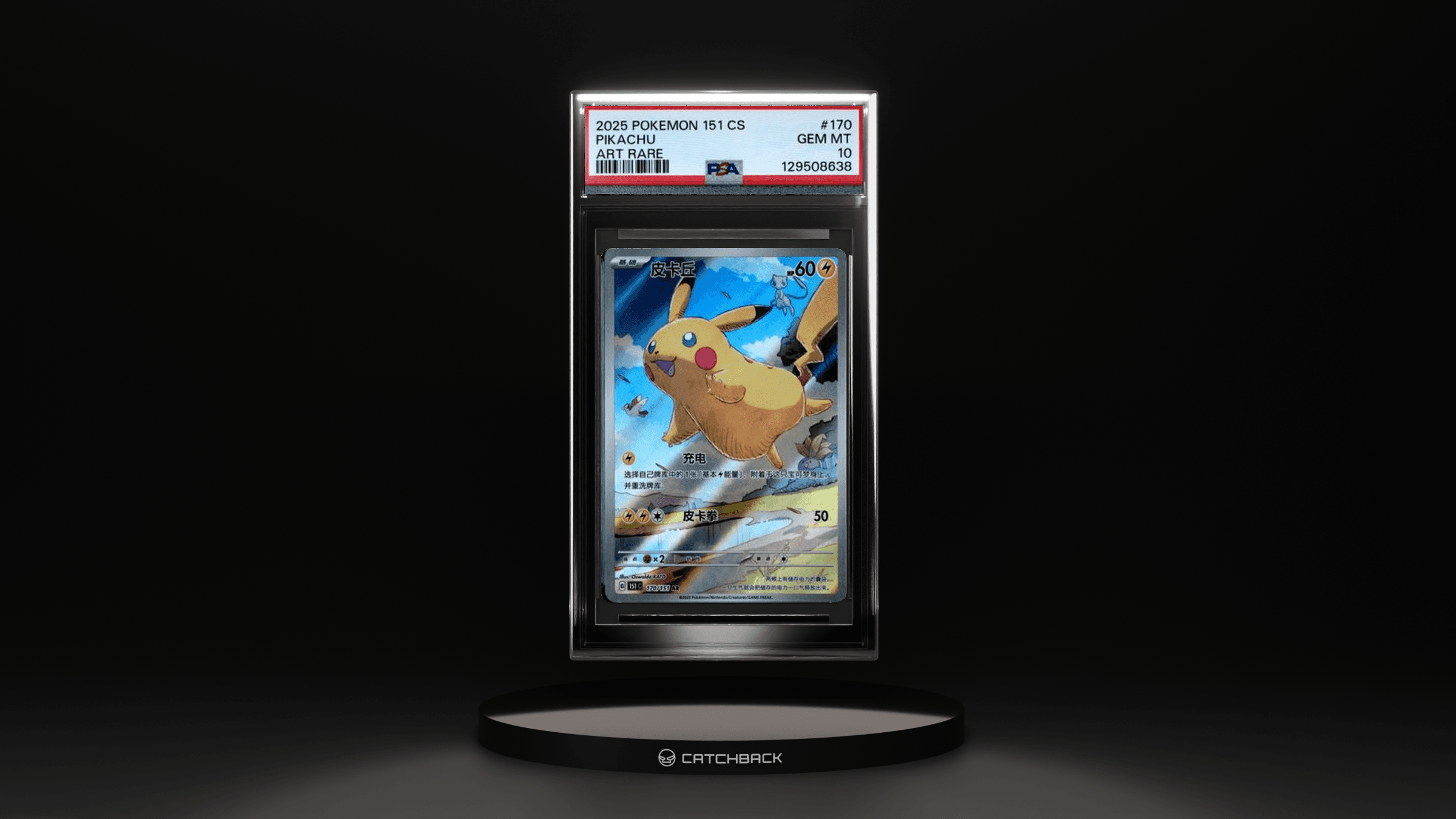 Pikachu Art Rare