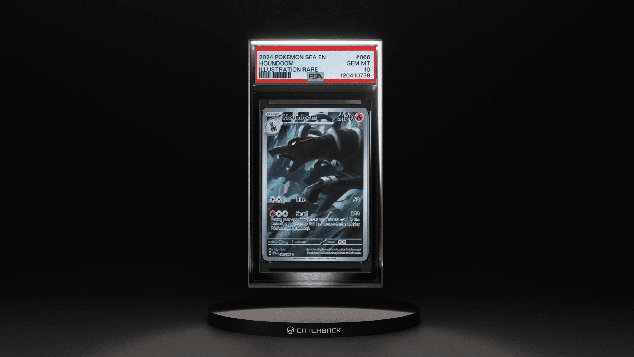 Houndoom Illustration Rare