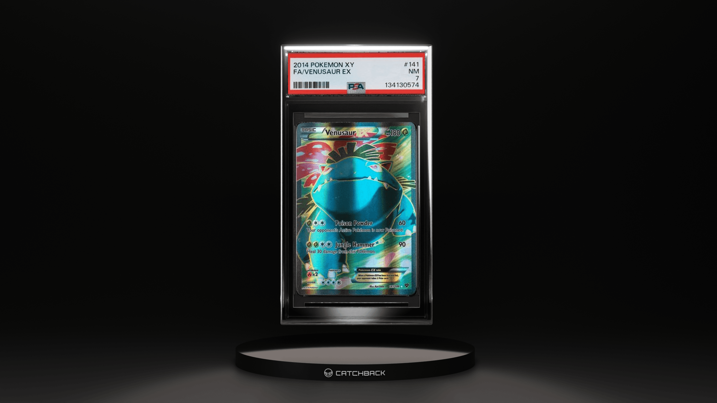 Fa/ Venusaur Ex