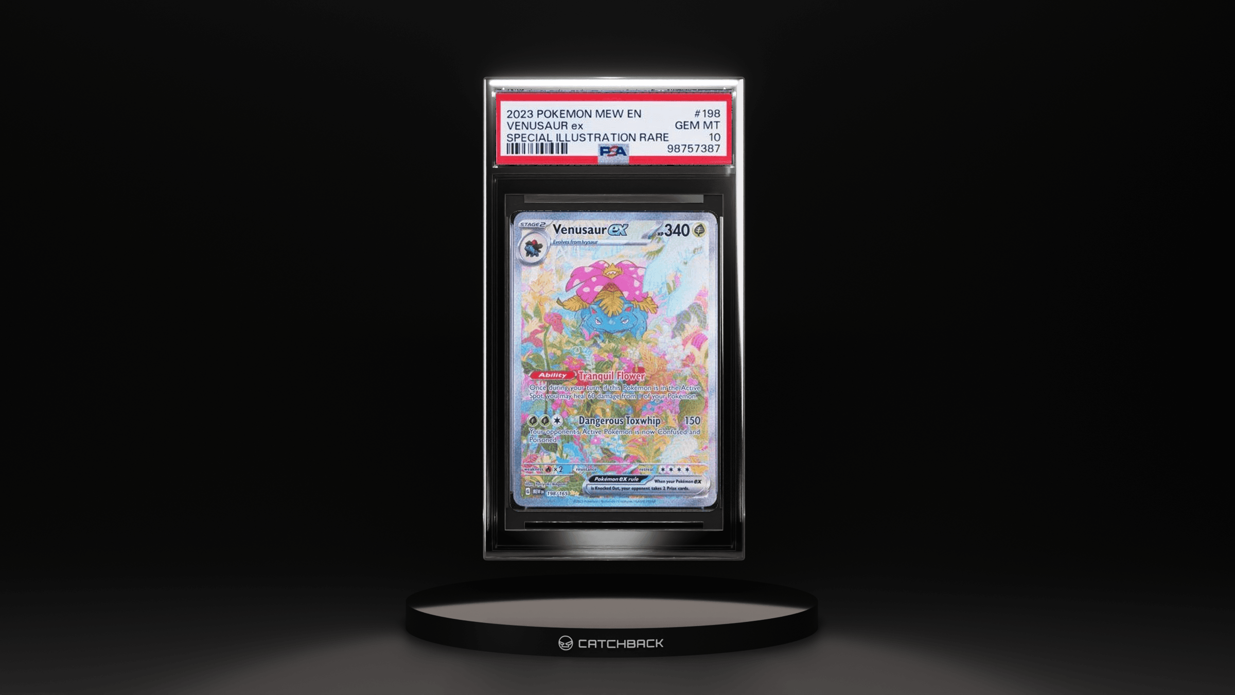 Venusaur Ex Special Illustration Rare