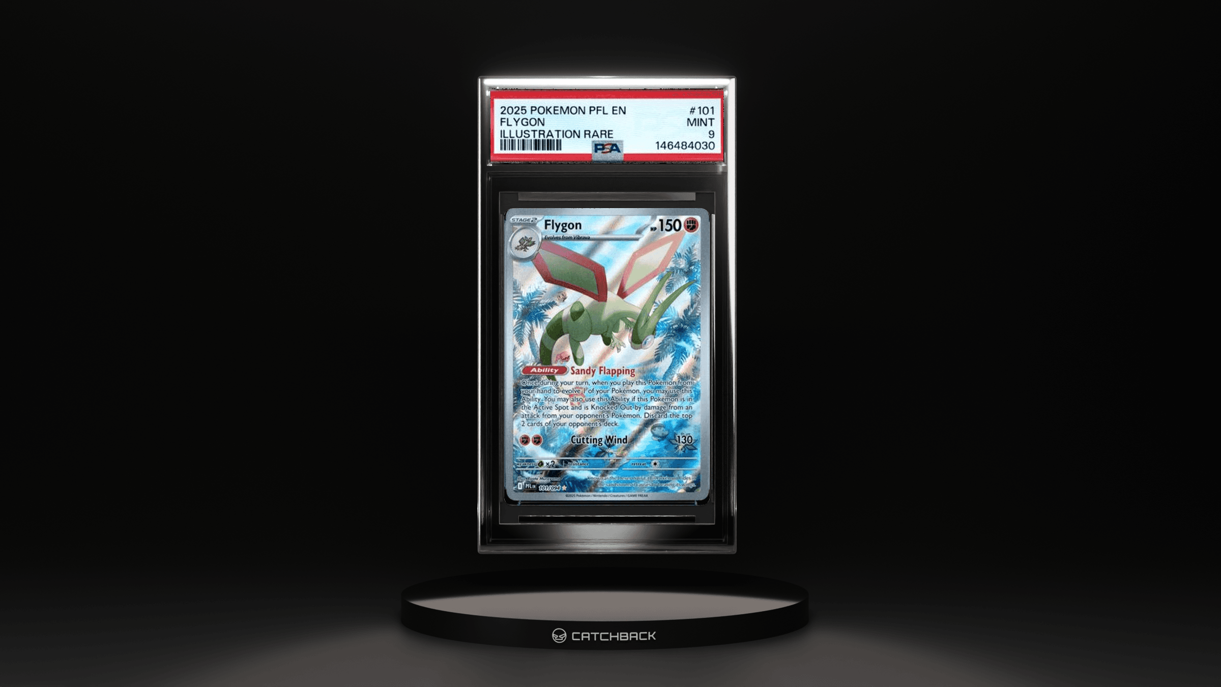 Flygon Illustration Rare