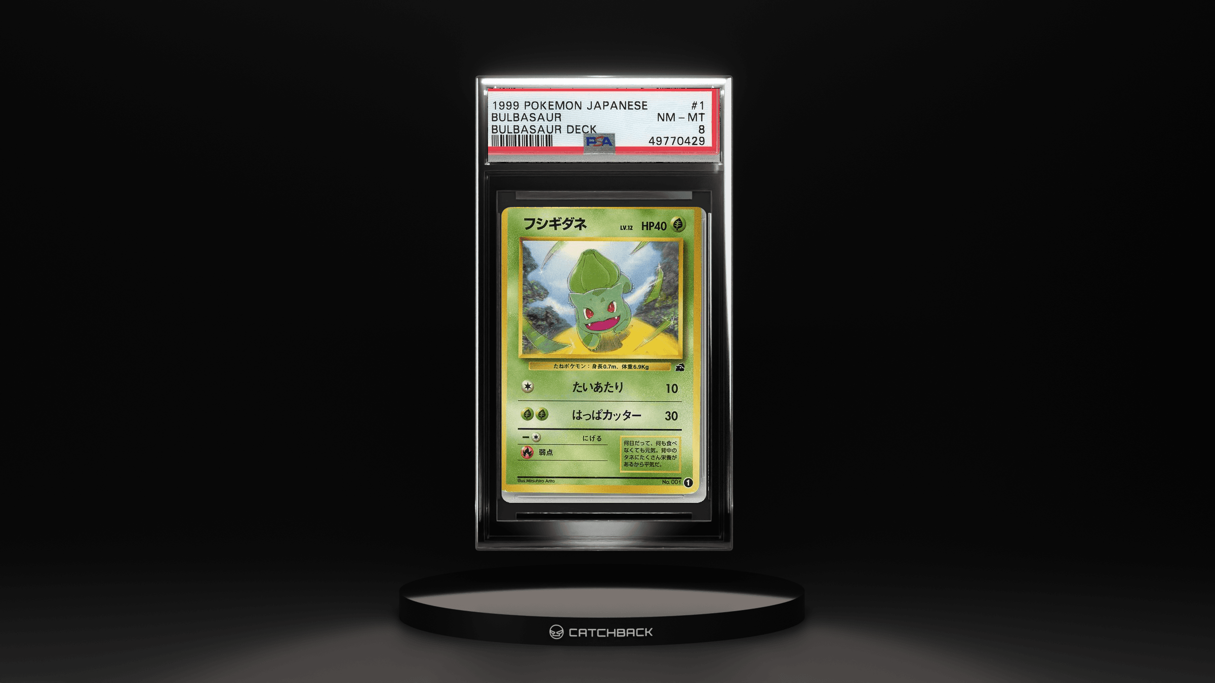 Bulbasaur Bulbasaur Deck