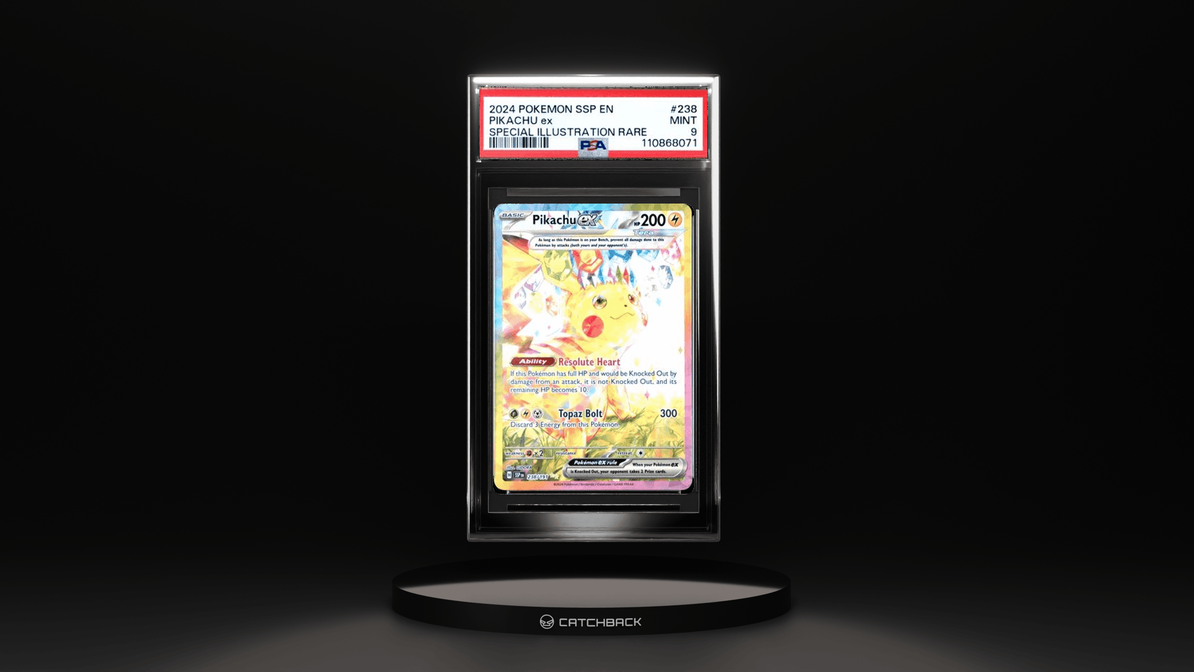 Pikachu Ex Special Illustration Rare
