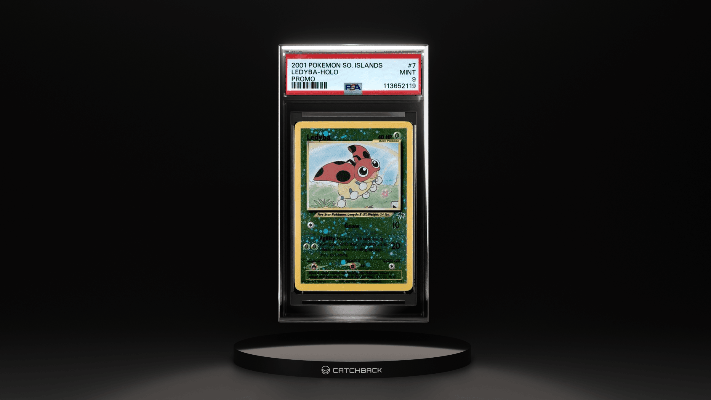 Ledyba-holo Promo