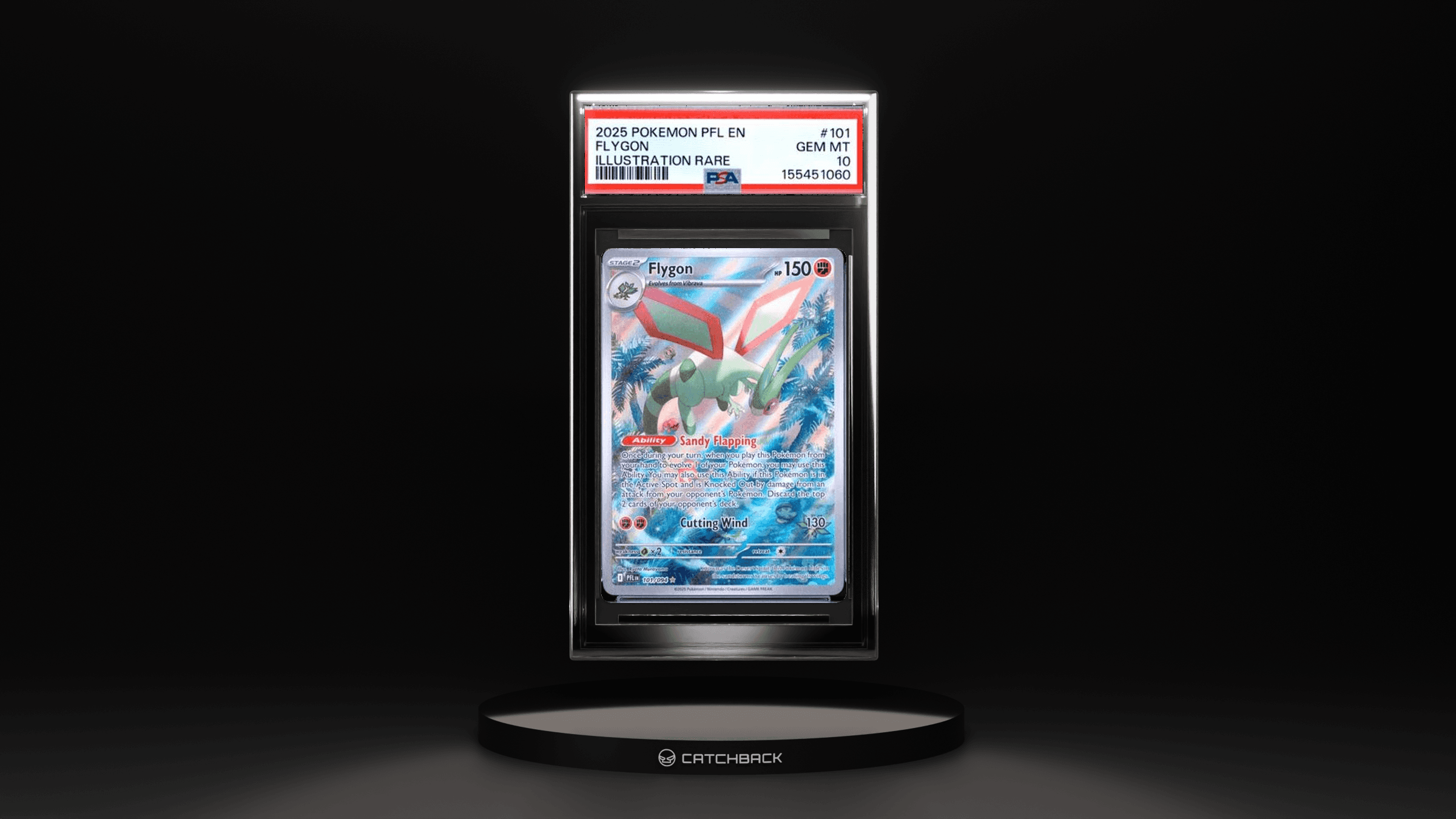 Flygon Illustration Rare
