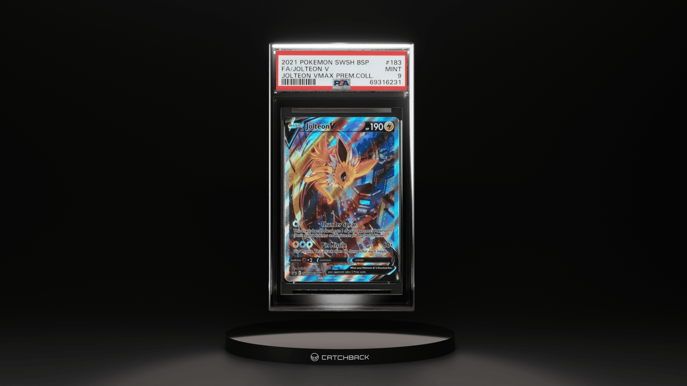 Fa/ Jolteon V Jolteon Vmax Prem.coll.