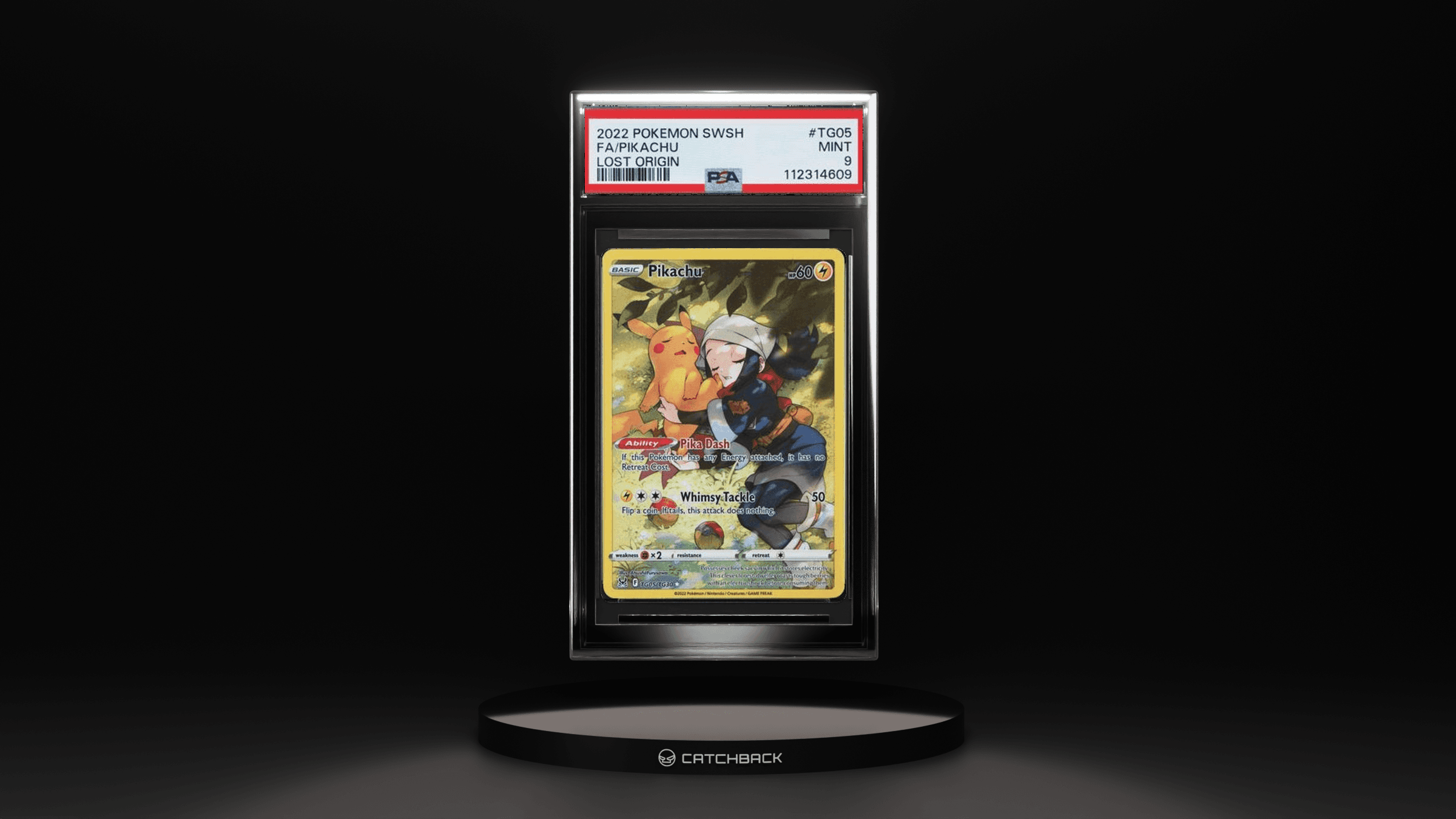 Fa/ Pikachu Lost Origin
