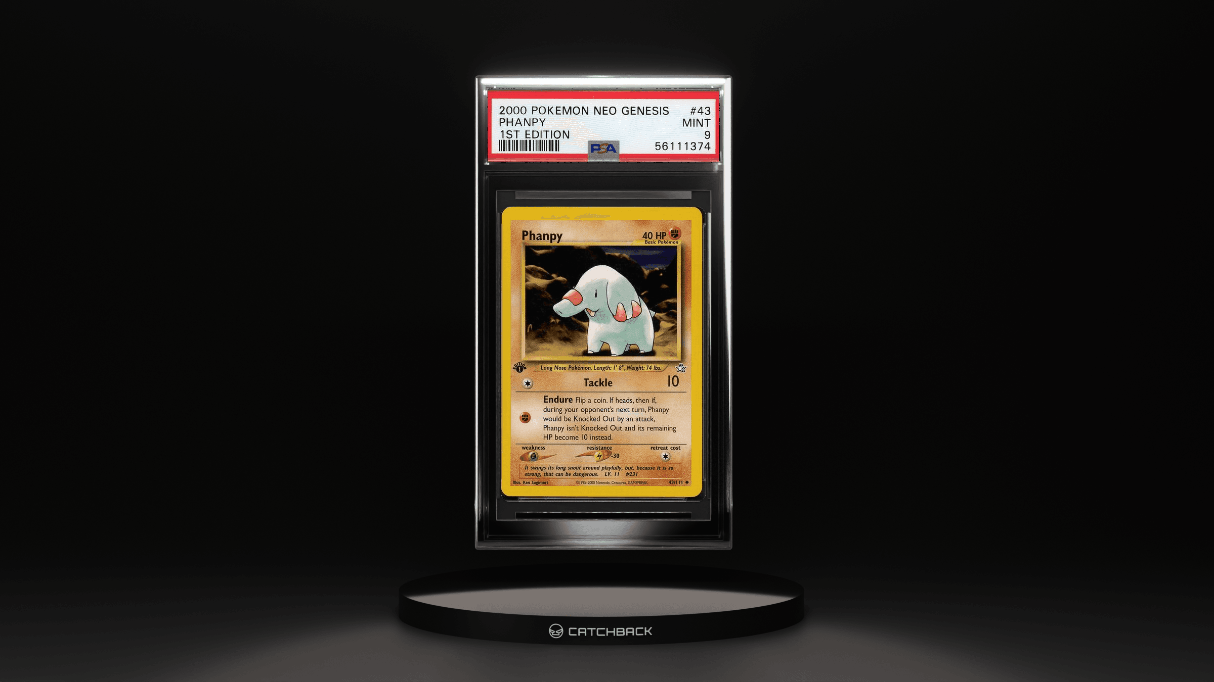 Phanpy 1st Edition
