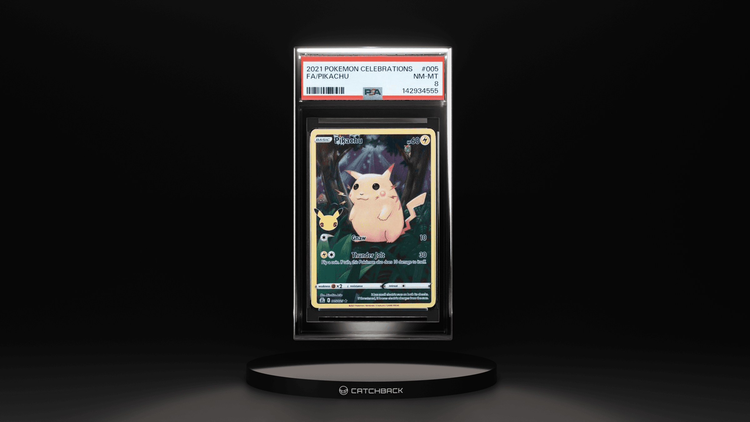 Fa/ Pikachu
