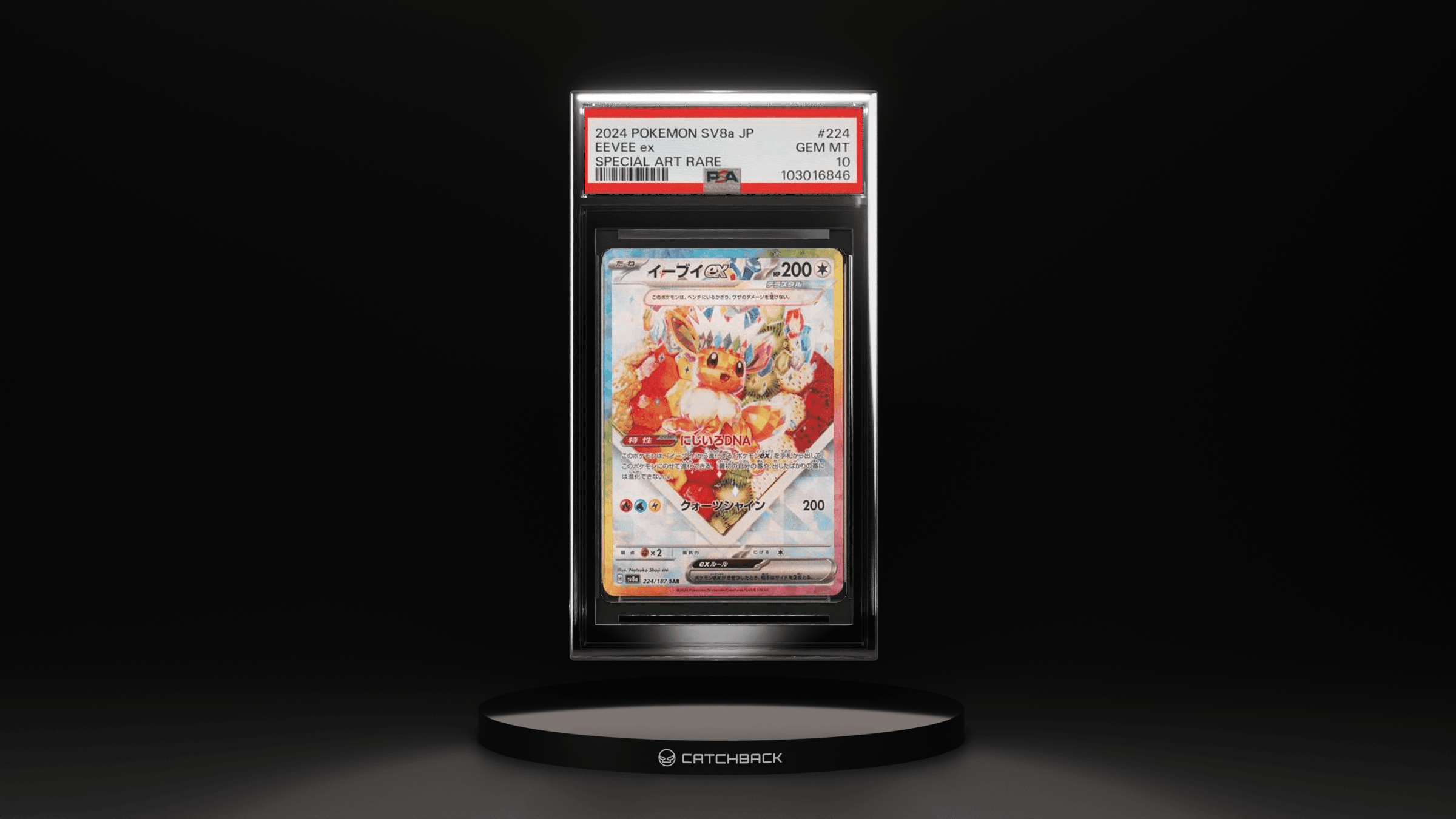 Eevee Ex Special Art Rare