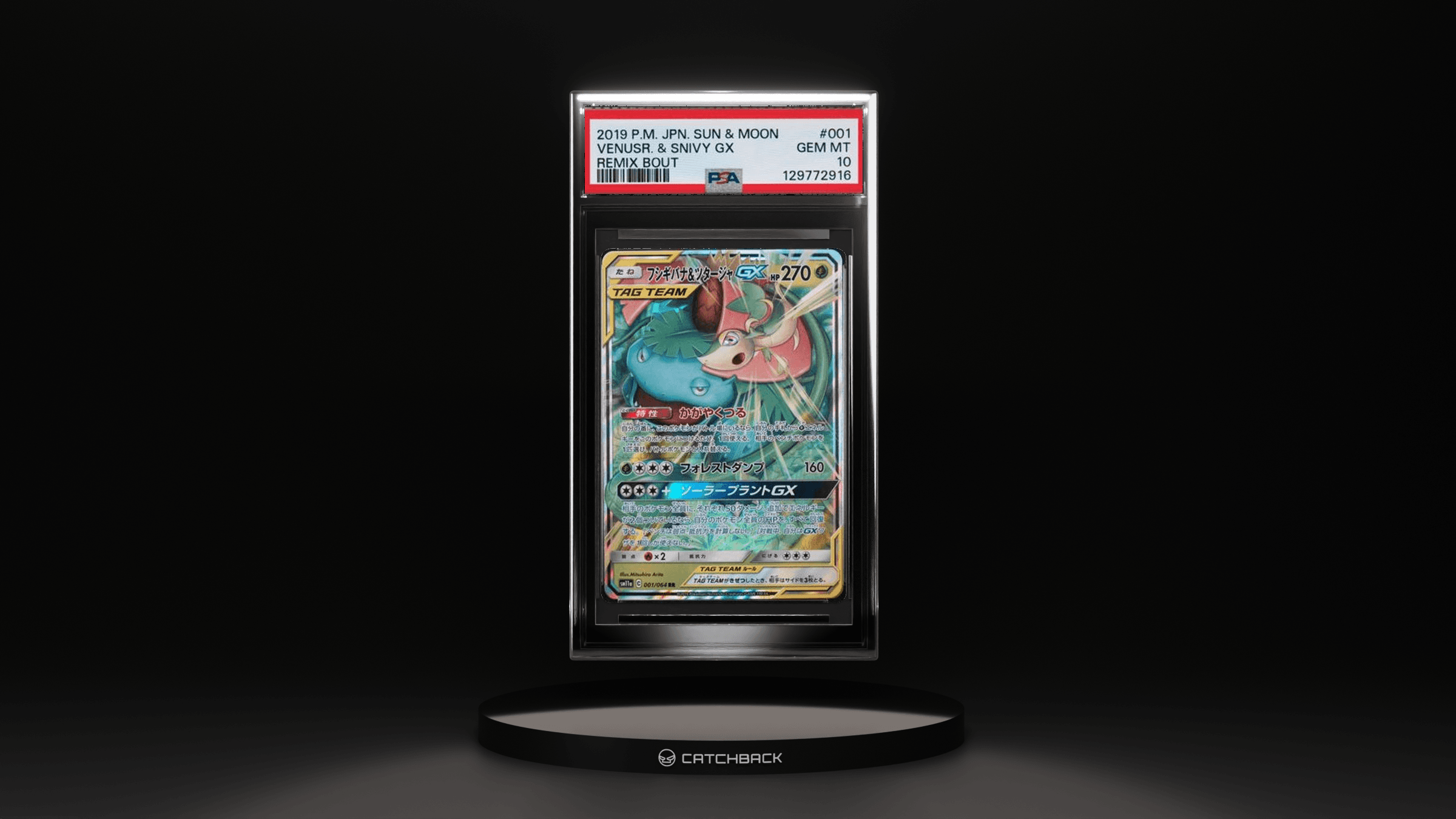 Venusr. & Snivy Gx