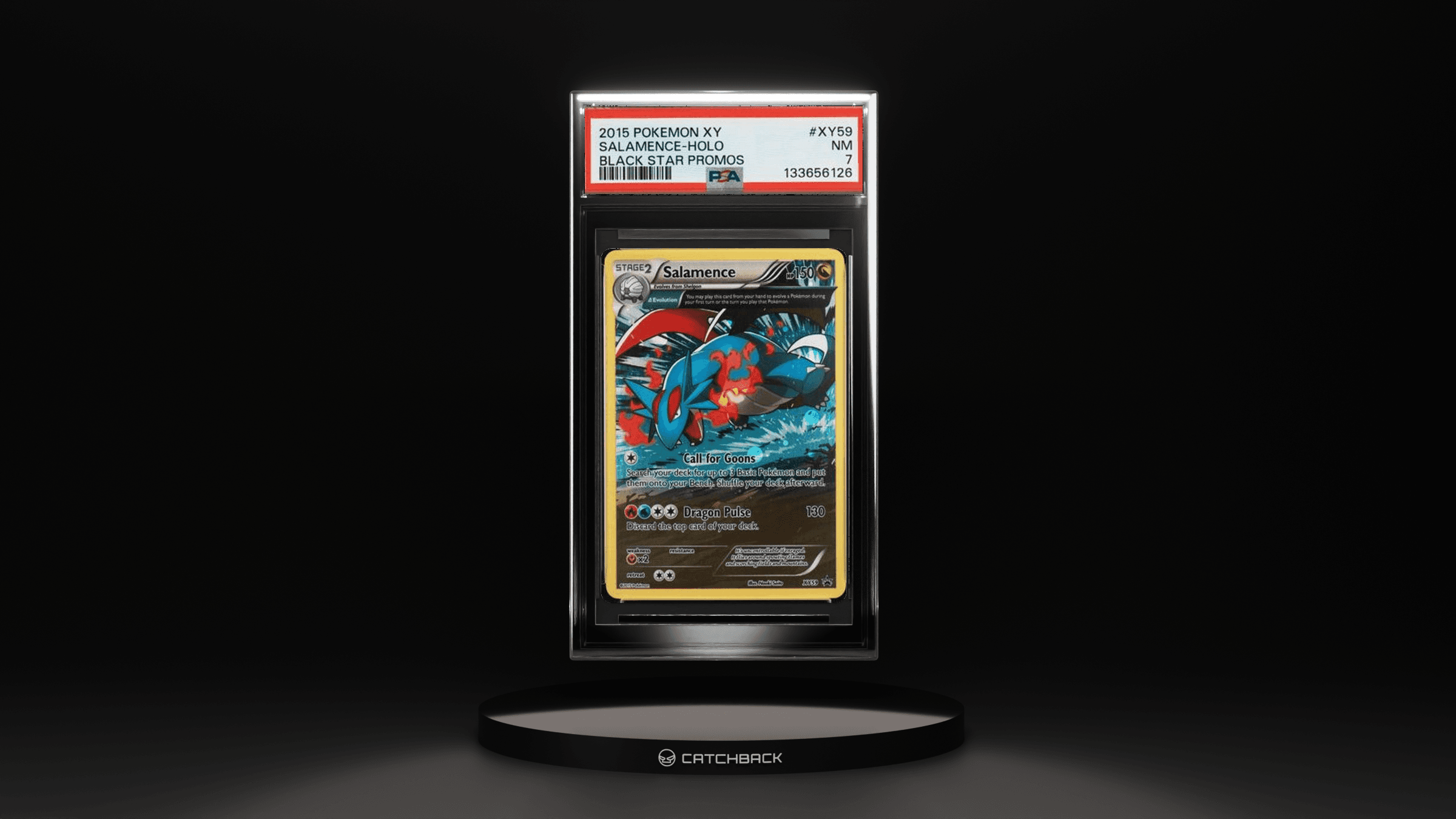 Salamence-holo Black Star Promos