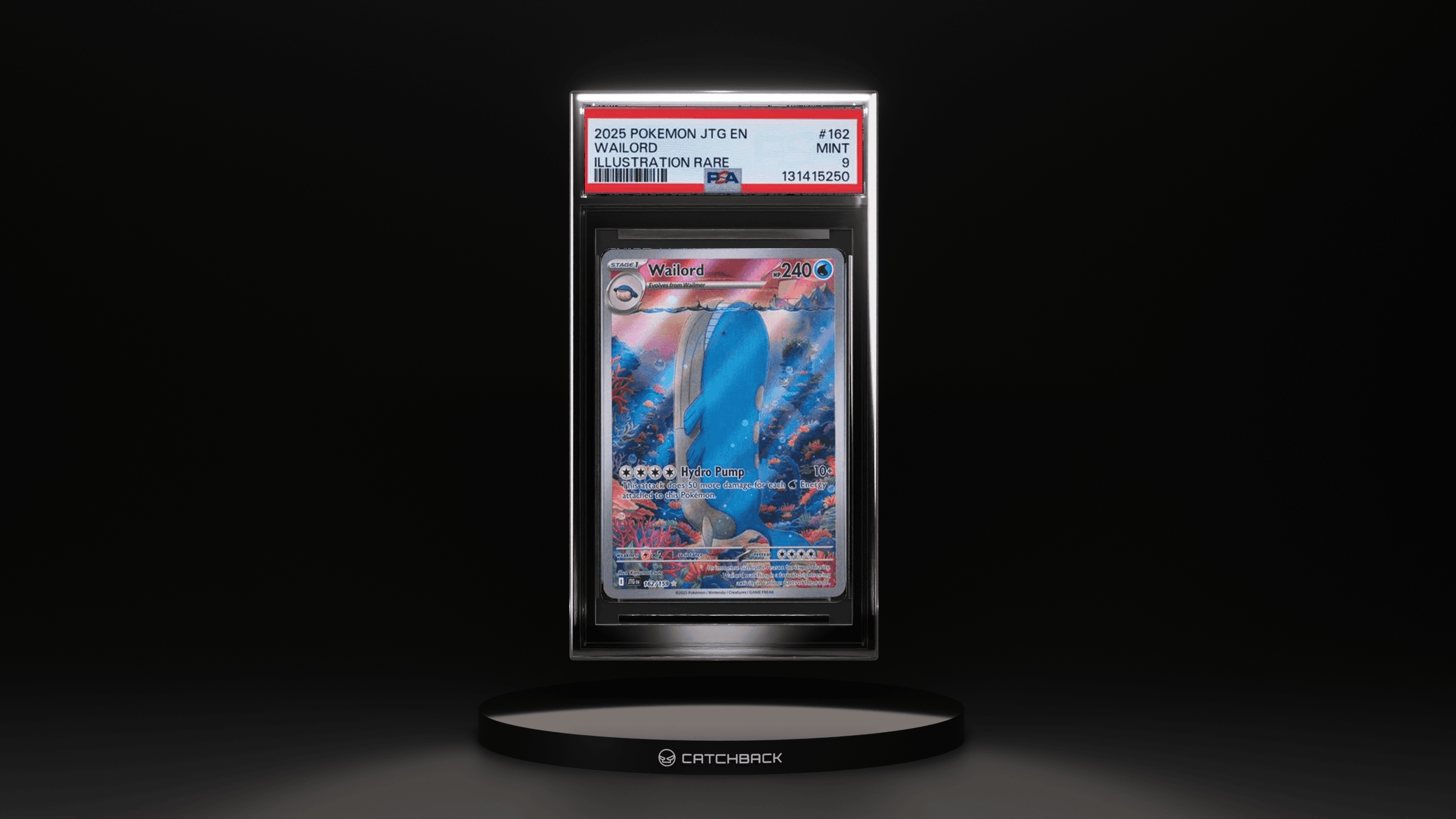 Wailord Illustration Rare