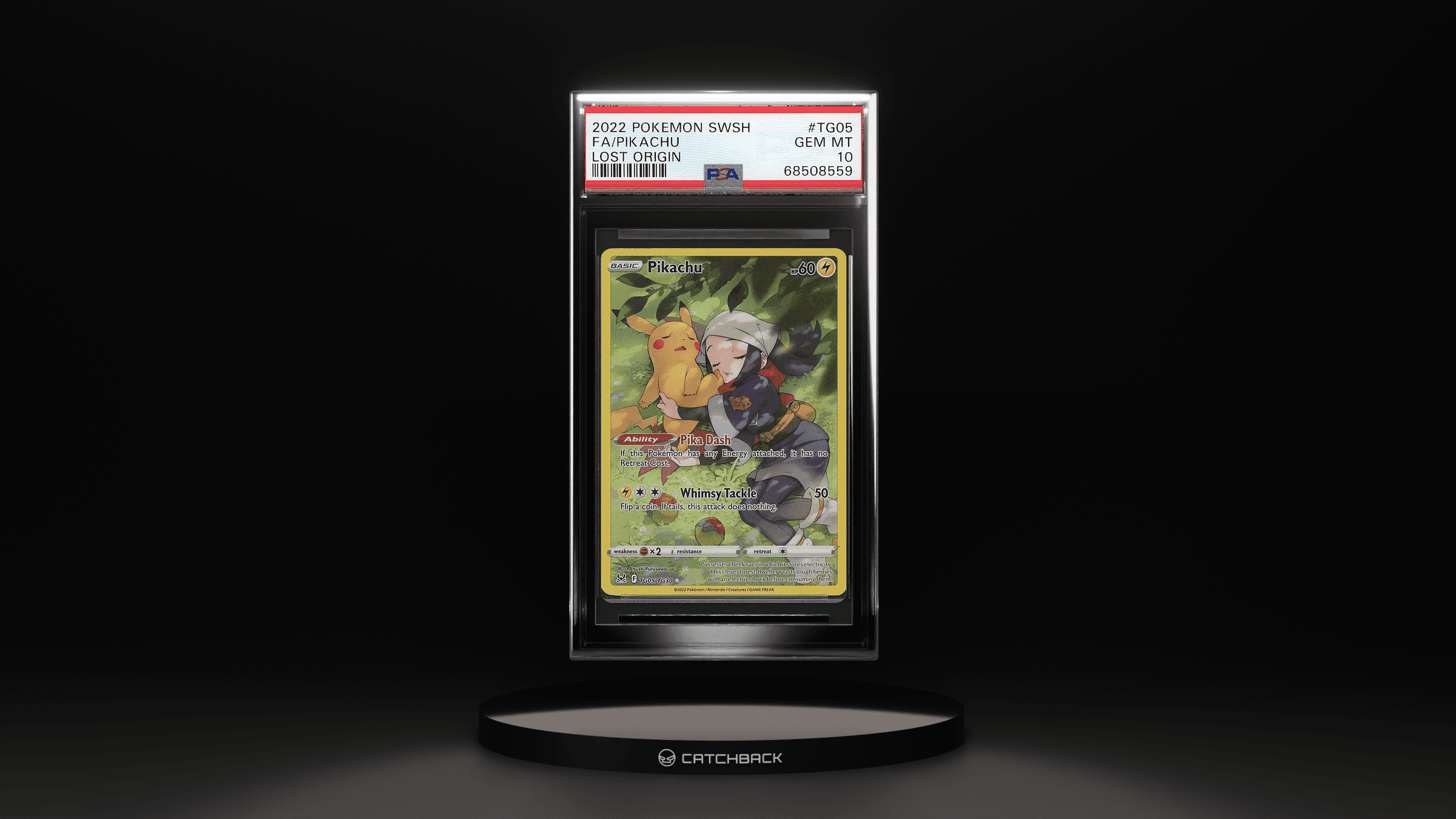 Fa/ Pikachu Lost Origin