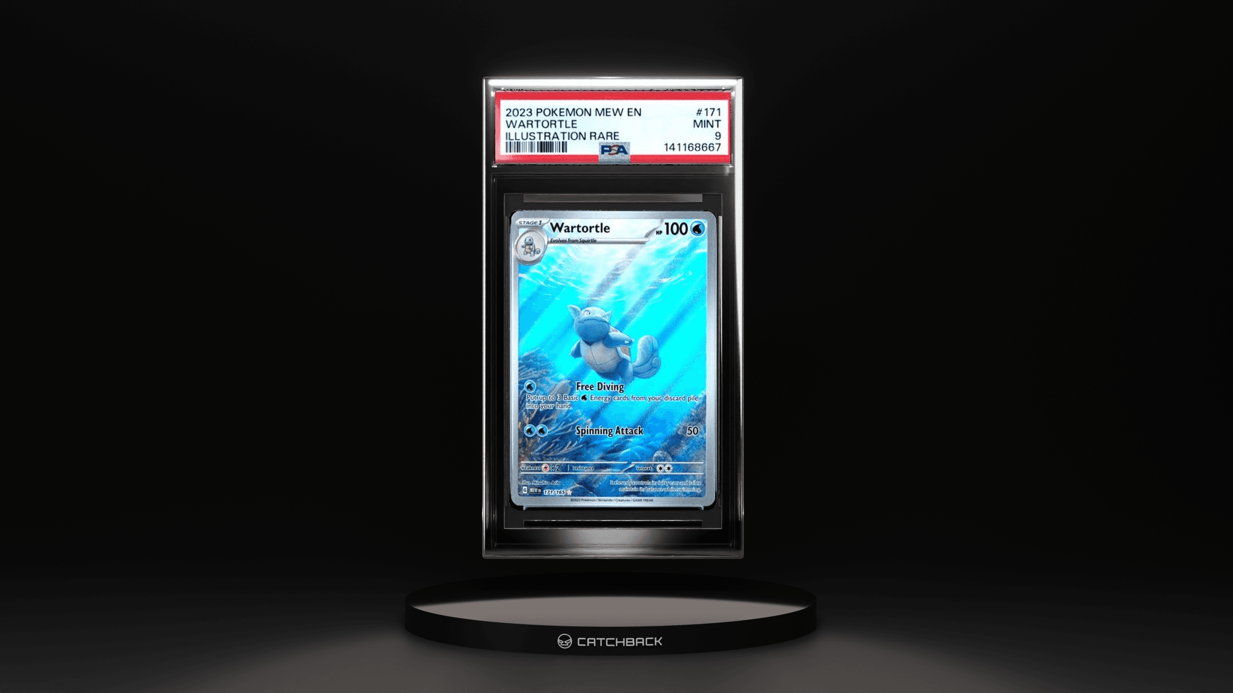 Wartortle Illustration Rare