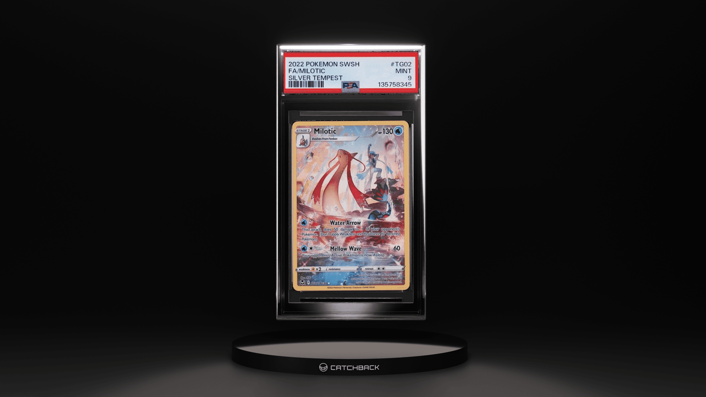 Fa/ Milotic Silver Tempest