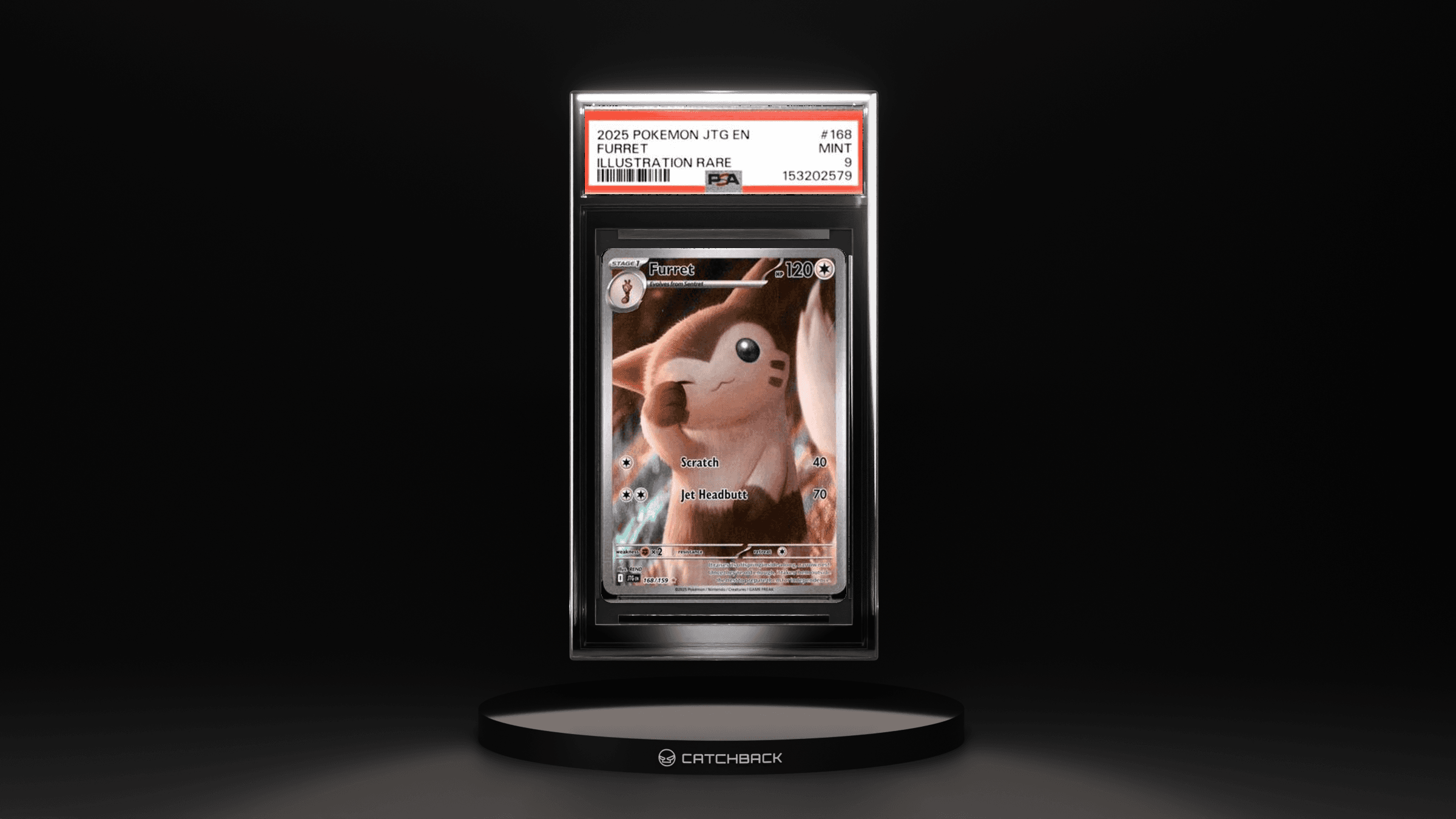 Furret Illustration Rare