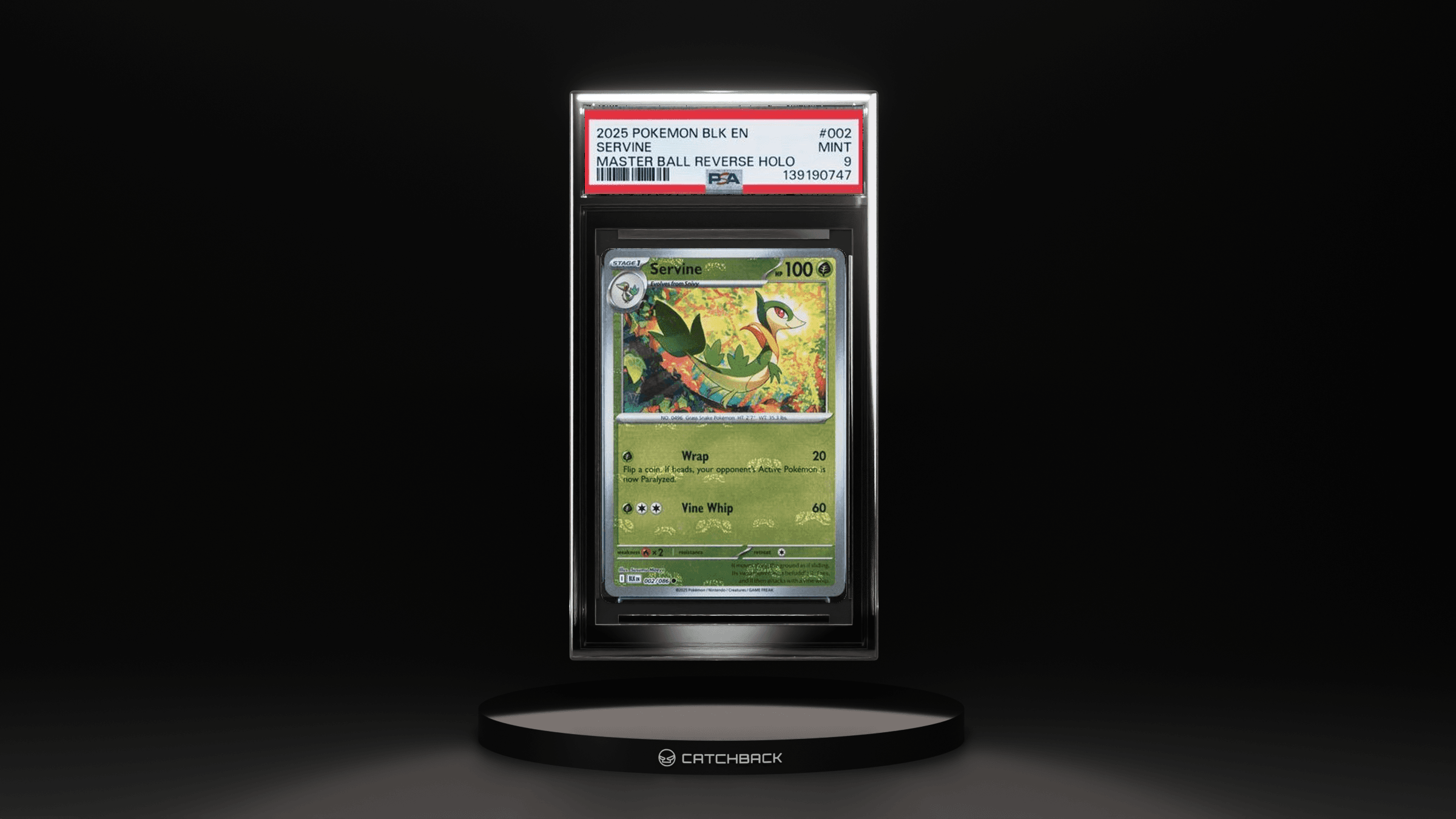 Servine Master Ball Reverse Holo