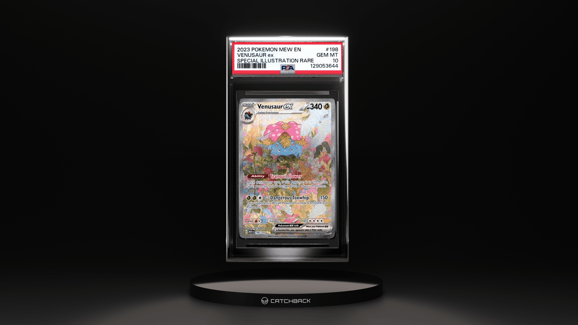 Venusaur Ex Special Illustration Rare