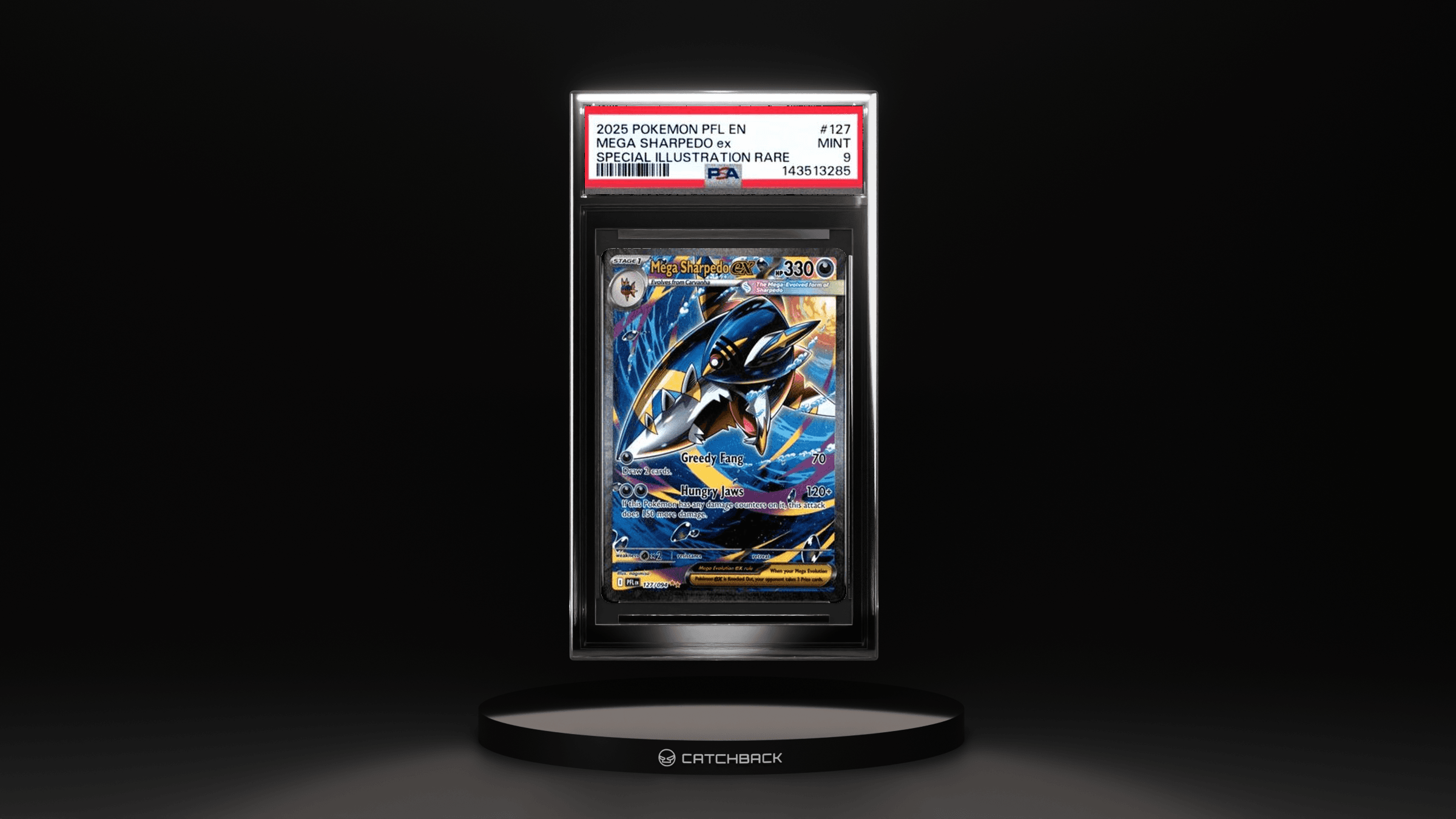 Mega Sharpedo Ex