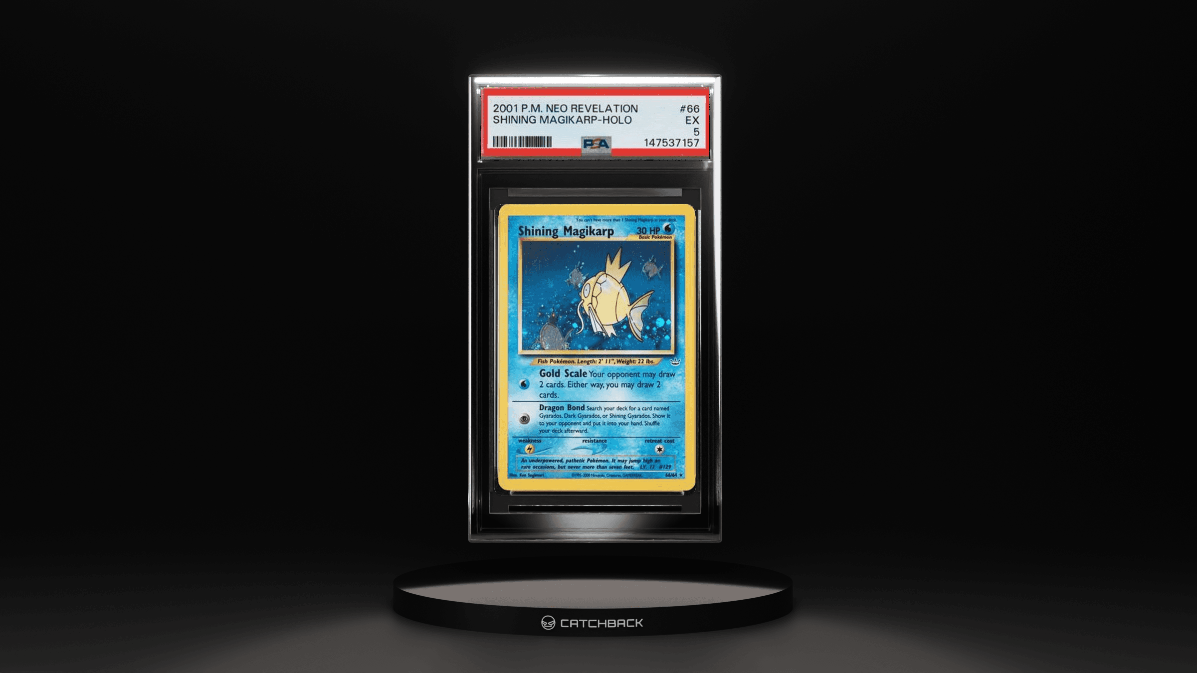 Shining Magikarp-holo