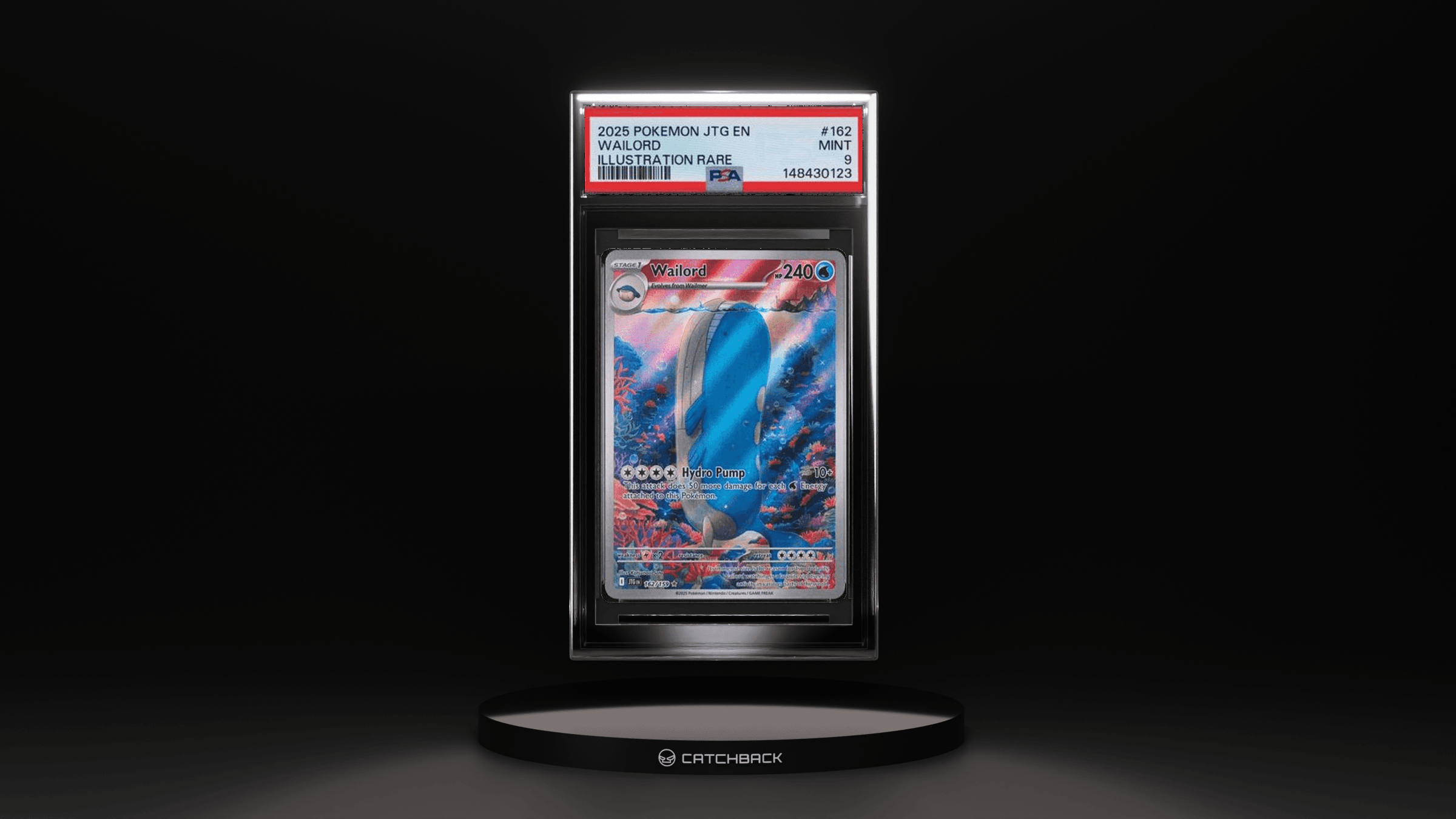 Wailord Illustration Rare