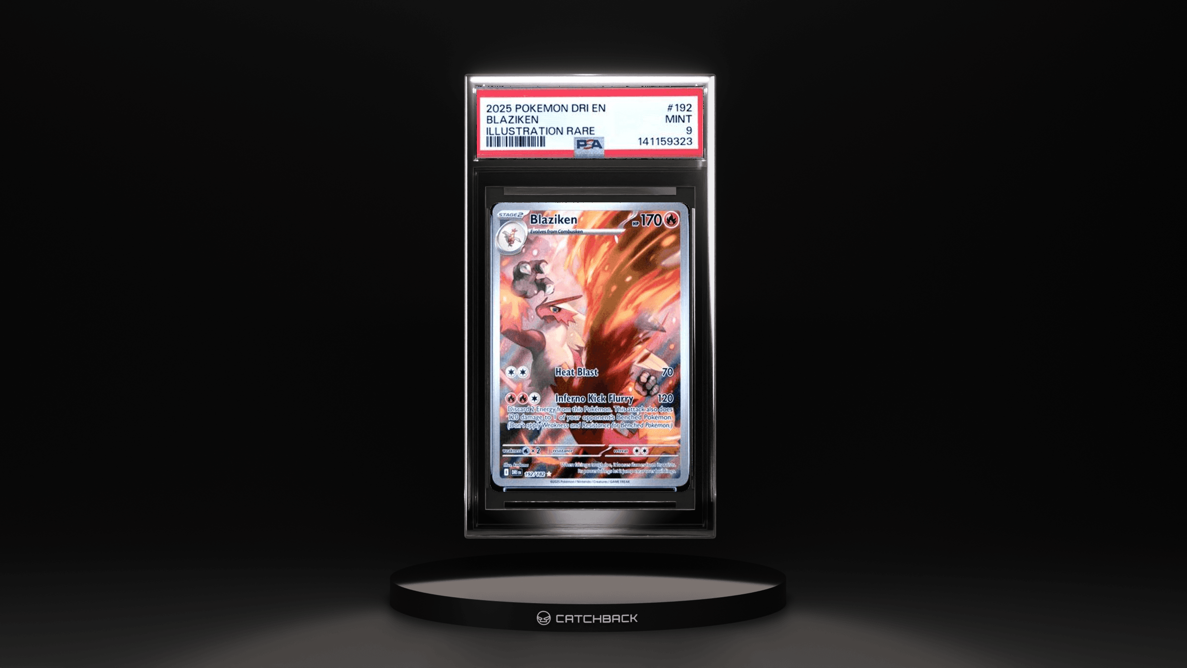 Blaziken Illustration Rare