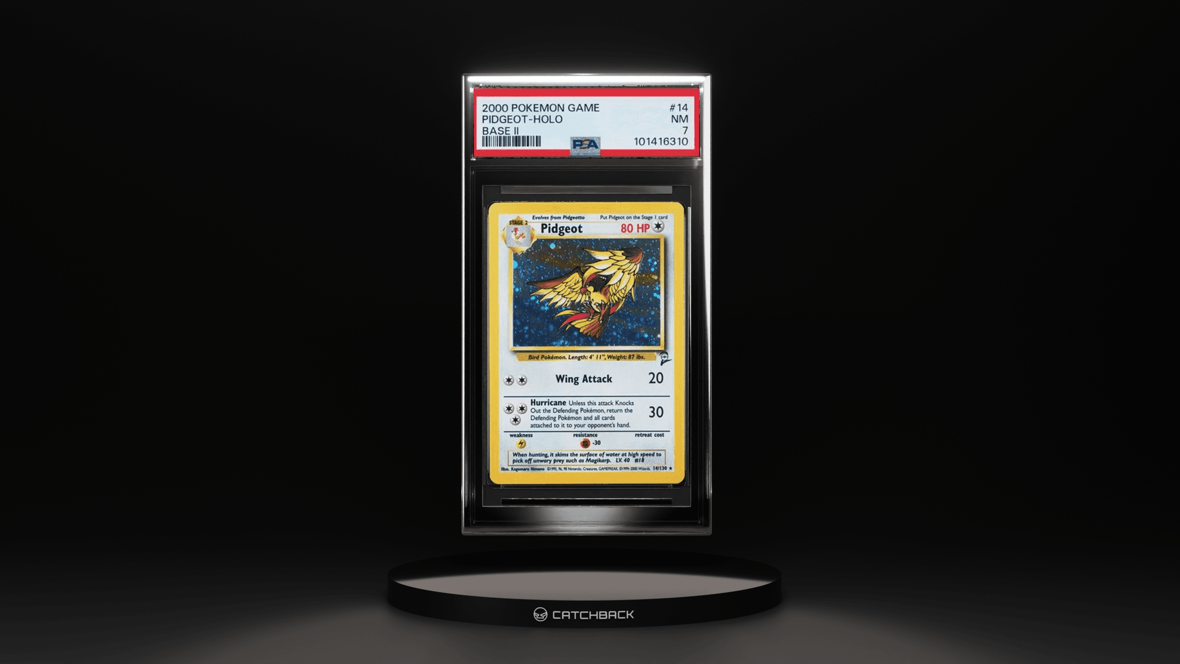 Pidgeot-holo Base Ii
